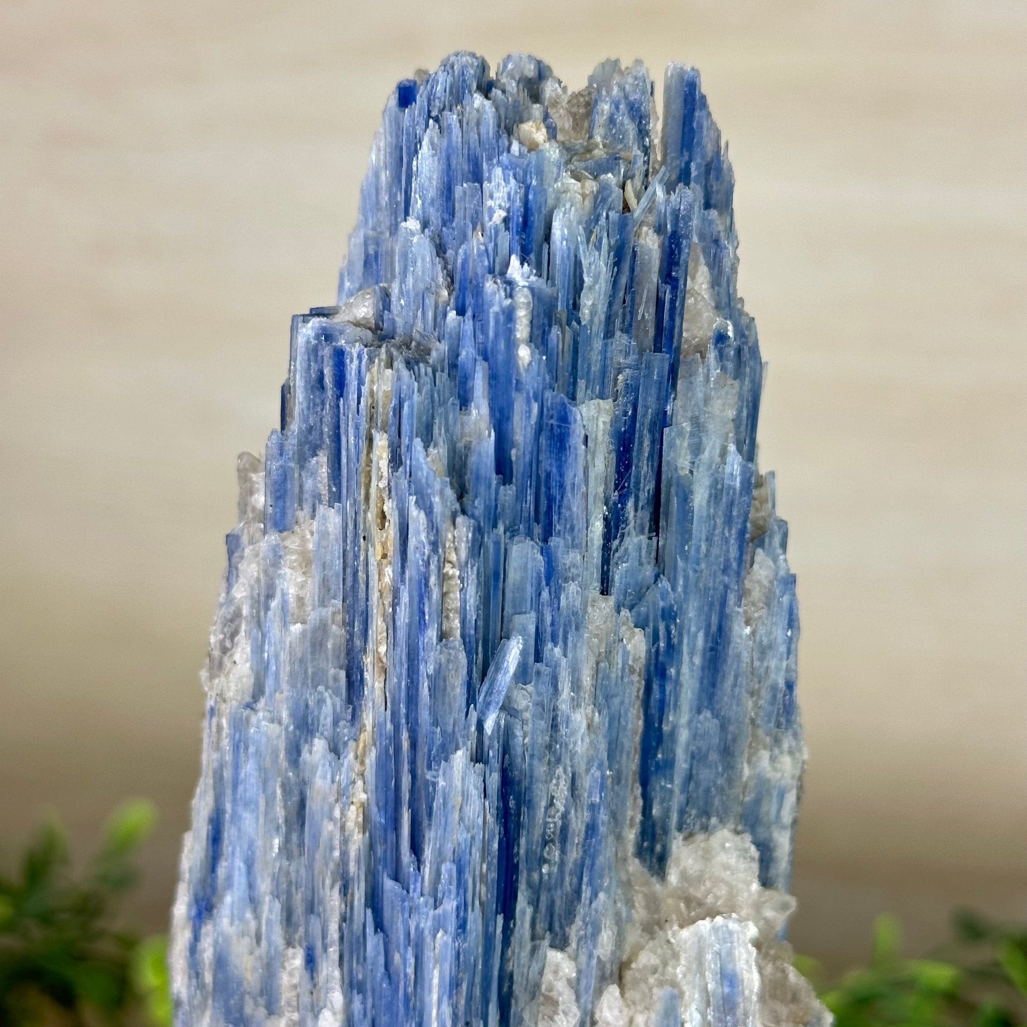 Kyanite Crystal on Metal Stand, 2.5 lbs & 9.4" Tall #6010 - 0015 - Brazil GemsBrazil GemsKyanite Crystal on Metal Stand, 2.5 lbs & 9.4" Tall #6010 - 0015Clusters on Fixed Bases6010 - 0015