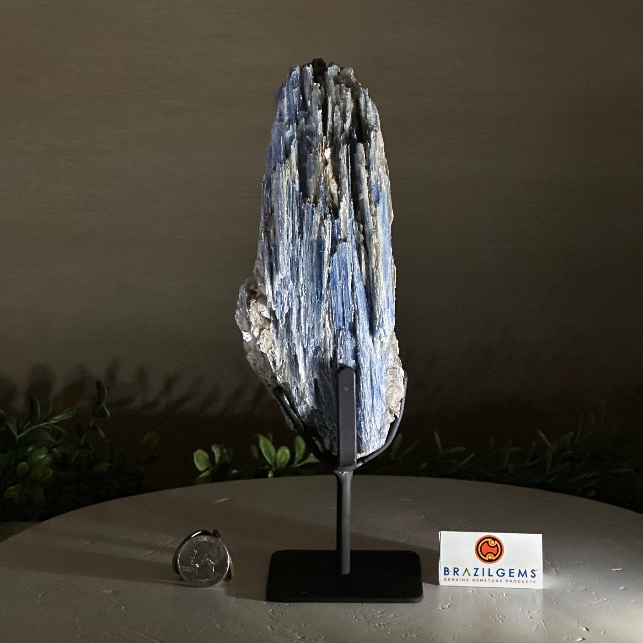 Kyanite Crystal on Metal Stand, 2.5 lbs & 9.4" Tall #6010 - 0015 - Brazil GemsBrazil GemsKyanite Crystal on Metal Stand, 2.5 lbs & 9.4" Tall #6010 - 0015Clusters on Fixed Bases6010 - 0015