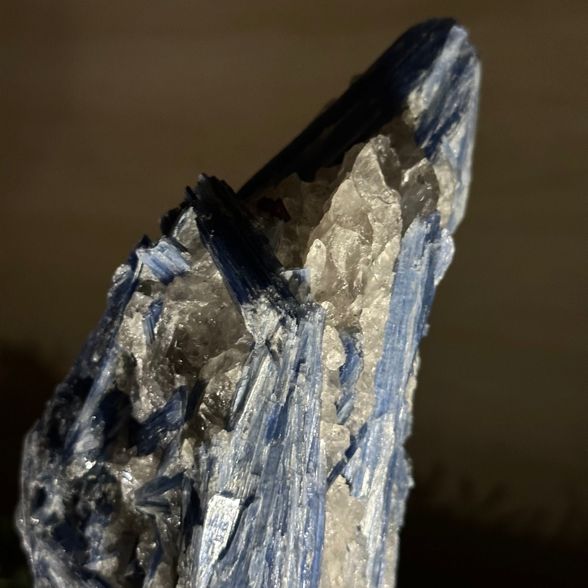 Kyanite Crystal on Metal Stand, 2.7 lbs & 10.2" Tall #6010 - 0019 - Brazil GemsBrazil GemsKyanite Crystal on Metal Stand, 2.7 lbs & 10.2" Tall #6010 - 0019Clusters on Fixed Bases6010 - 0019