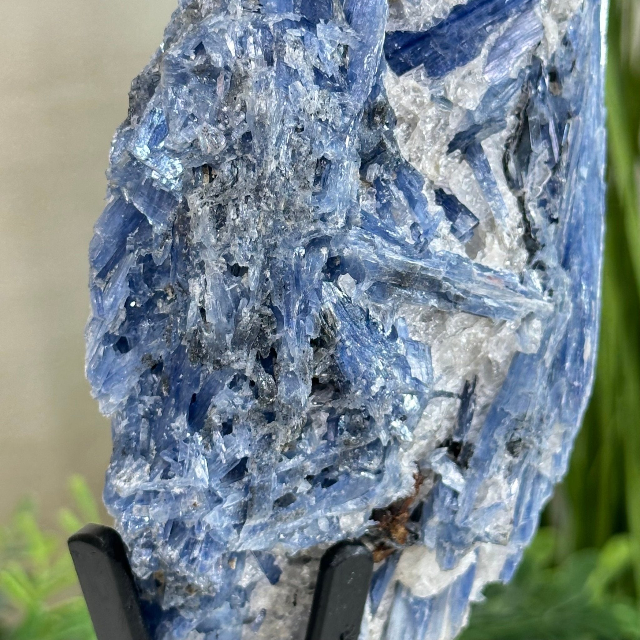 Kyanite Crystal on Metal Stand, 2.7 lbs & 10.2" Tall #6010 - 0019 - Brazil GemsBrazil GemsKyanite Crystal on Metal Stand, 2.7 lbs & 10.2" Tall #6010 - 0019Clusters on Fixed Bases6010 - 0019