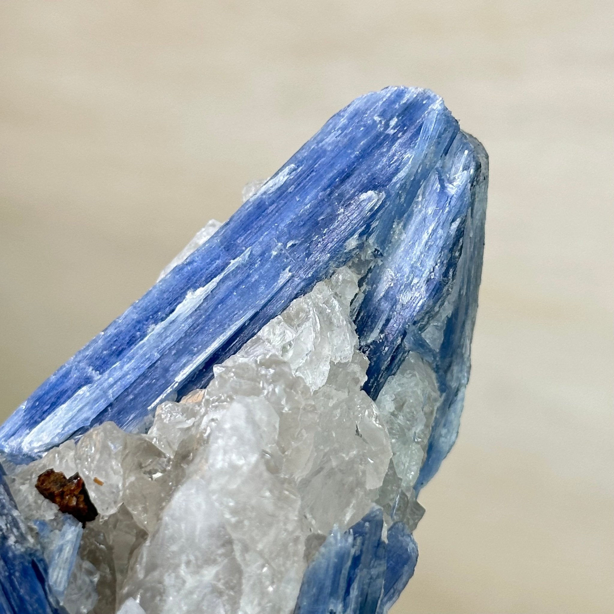 Kyanite Crystal on Metal Stand, 2.7 lbs & 10.2" Tall #6010 - 0019 - Brazil GemsBrazil GemsKyanite Crystal on Metal Stand, 2.7 lbs & 10.2" Tall #6010 - 0019Clusters on Fixed Bases6010 - 0019