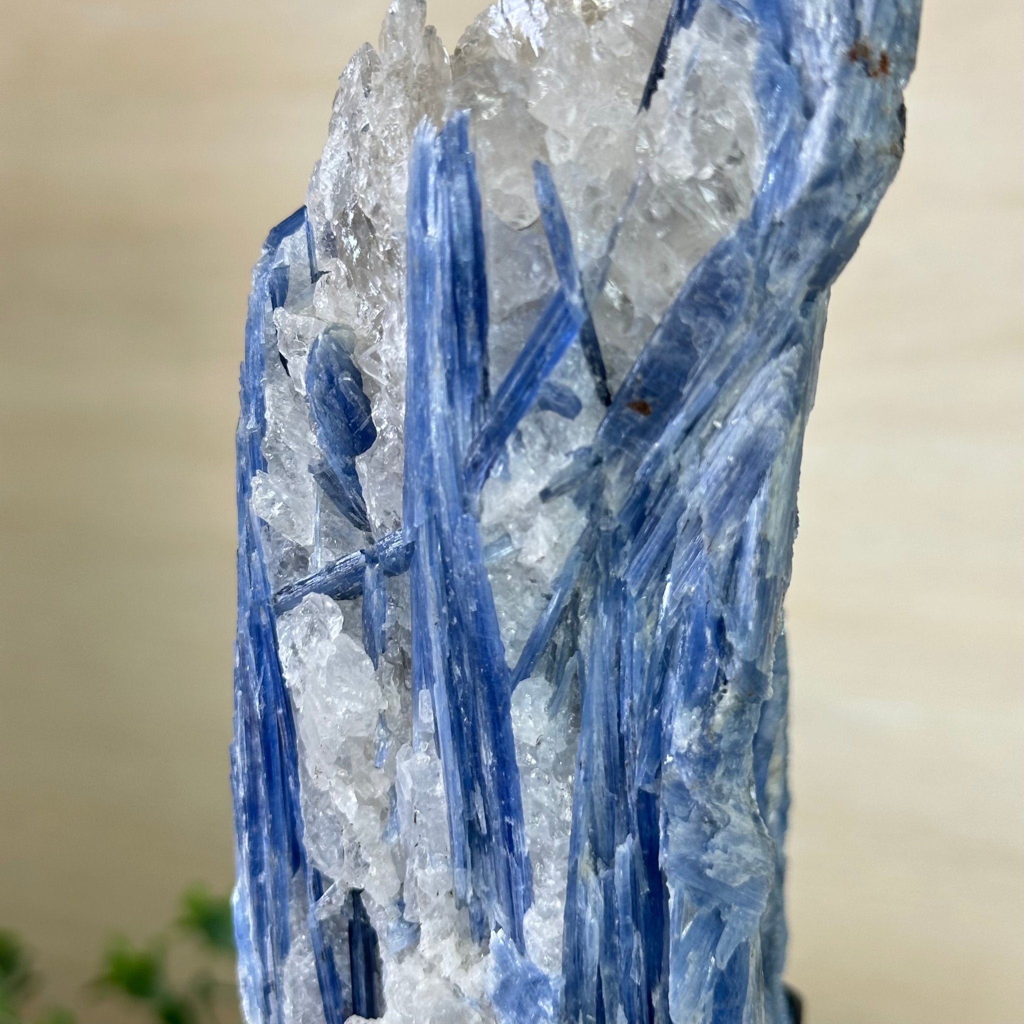 Kyanite Crystal on Metal Stand, 2.7 lbs & 10.2" Tall #6010 - 0019 - Brazil GemsBrazil GemsKyanite Crystal on Metal Stand, 2.7 lbs & 10.2" Tall #6010 - 0019Clusters on Fixed Bases6010 - 0019