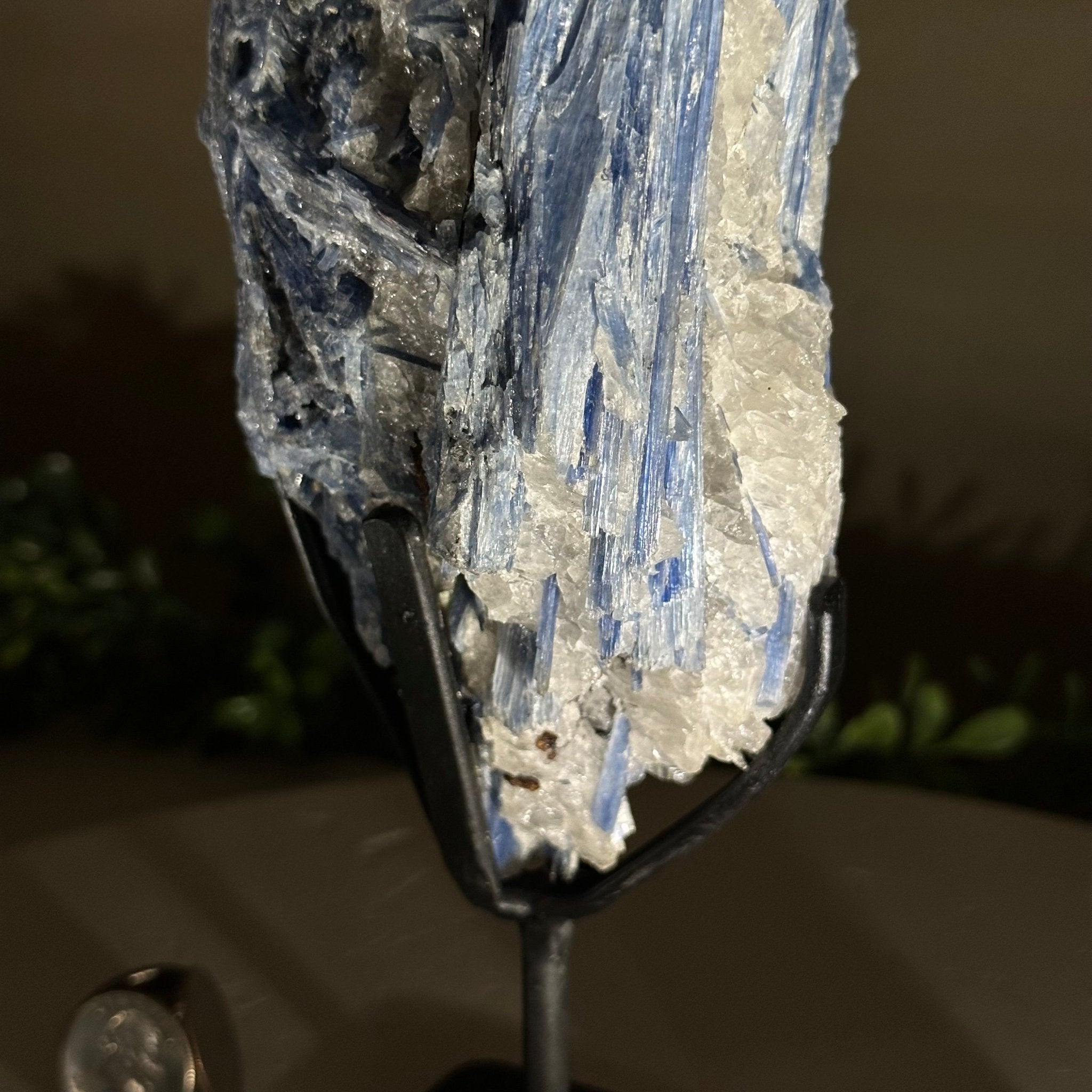 Kyanite Crystal on Metal Stand, 2.7 lbs & 10.2" Tall #6010 - 0019 - Brazil GemsBrazil GemsKyanite Crystal on Metal Stand, 2.7 lbs & 10.2" Tall #6010 - 0019Clusters on Fixed Bases6010 - 0019