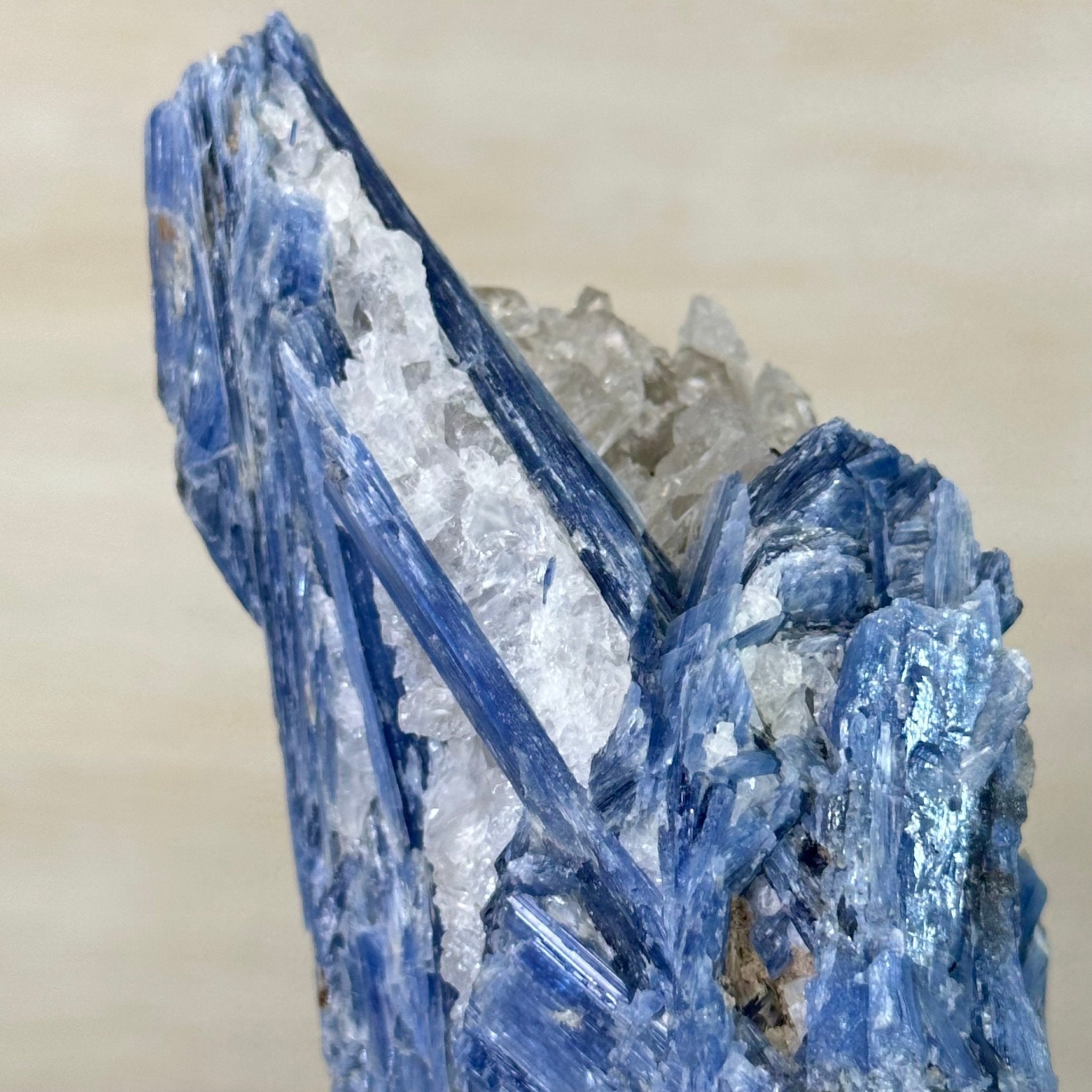 Kyanite Crystal on Metal Stand, 2.7 lbs & 10.2" Tall #6010 - 0019 - Brazil GemsBrazil GemsKyanite Crystal on Metal Stand, 2.7 lbs & 10.2" Tall #6010 - 0019Clusters on Fixed Bases6010 - 0019