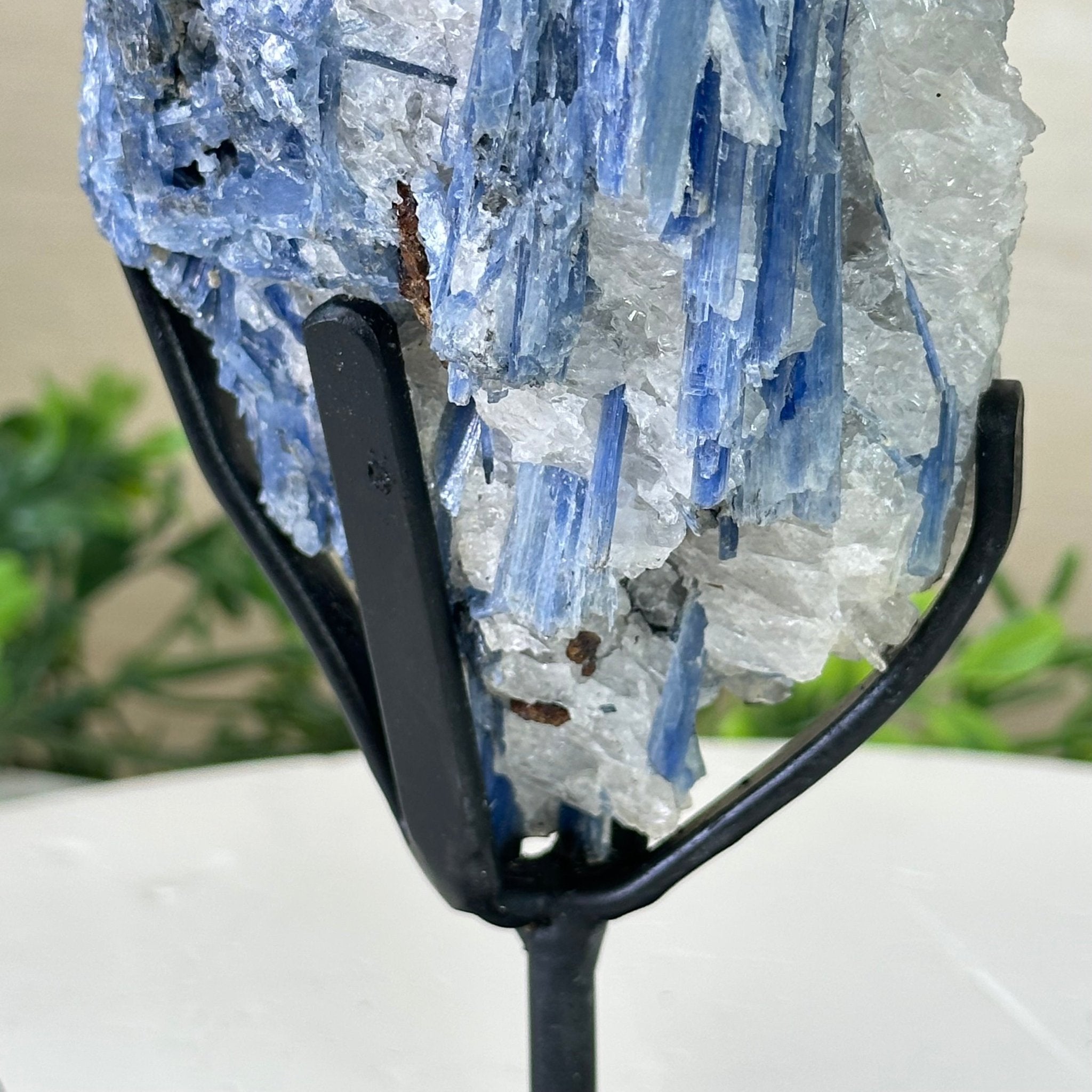 Kyanite Crystal on Metal Stand, 2.7 lbs & 10.2" Tall #6010 - 0019 - Brazil GemsBrazil GemsKyanite Crystal on Metal Stand, 2.7 lbs & 10.2" Tall #6010 - 0019Clusters on Fixed Bases6010 - 0019