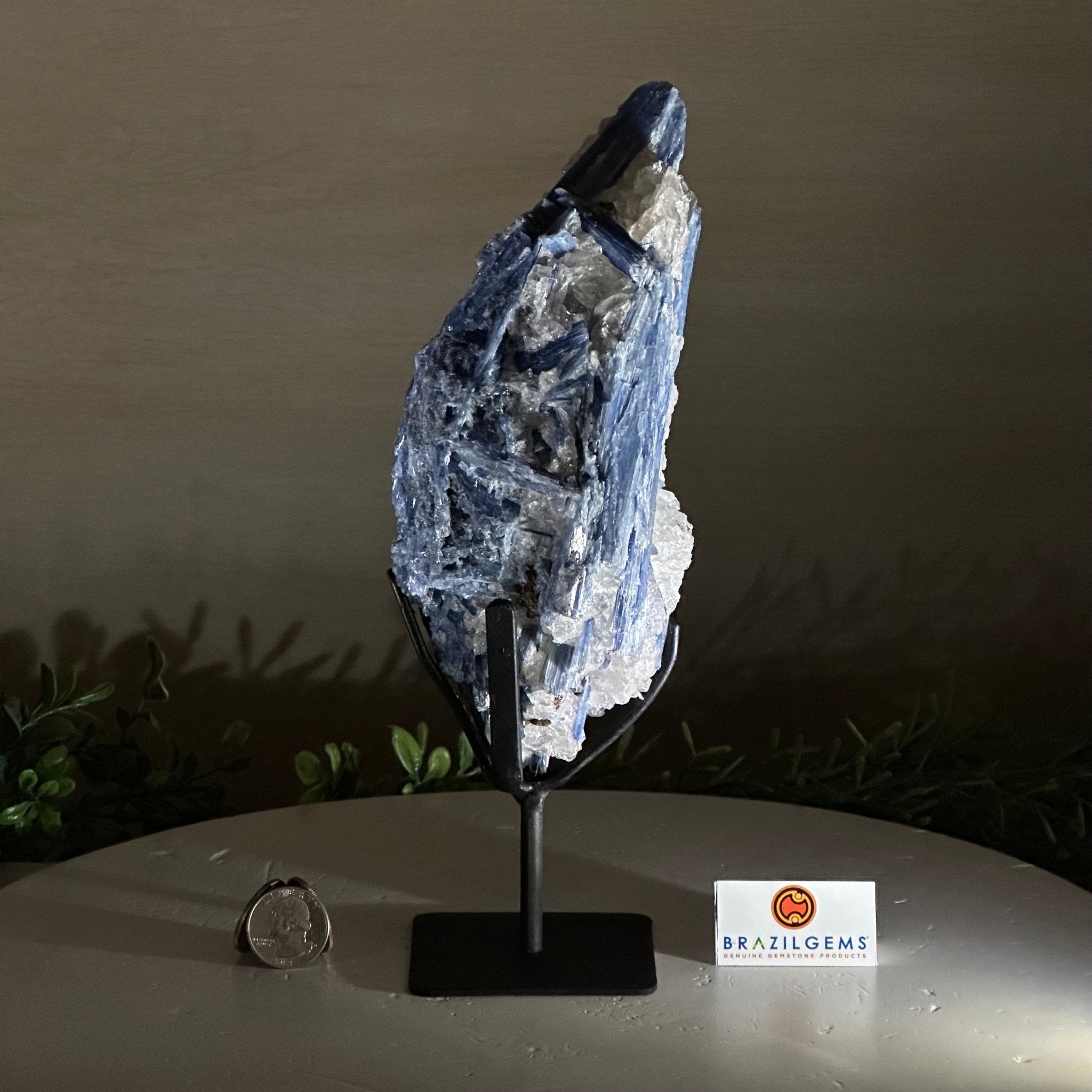 Kyanite Crystal on Metal Stand, 2.7 lbs & 10.2" Tall #6010 - 0019 - Brazil GemsBrazil GemsKyanite Crystal on Metal Stand, 2.7 lbs & 10.2" Tall #6010 - 0019Clusters on Fixed Bases6010 - 0019