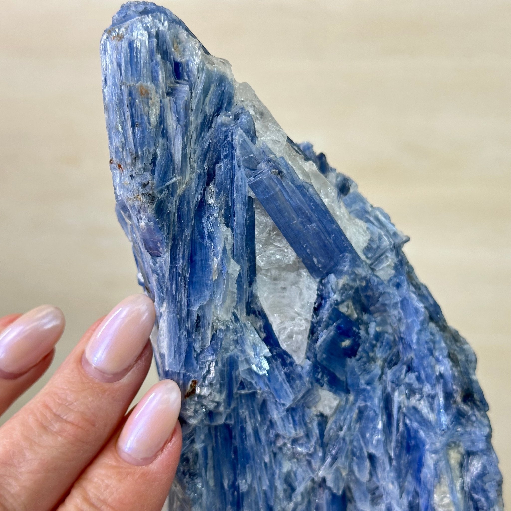 Kyanite Crystal on Metal Stand, 2.7 lbs & 10.2" Tall #6010 - 0019 - Brazil GemsBrazil GemsKyanite Crystal on Metal Stand, 2.7 lbs & 10.2" Tall #6010 - 0019Clusters on Fixed Bases6010 - 0019