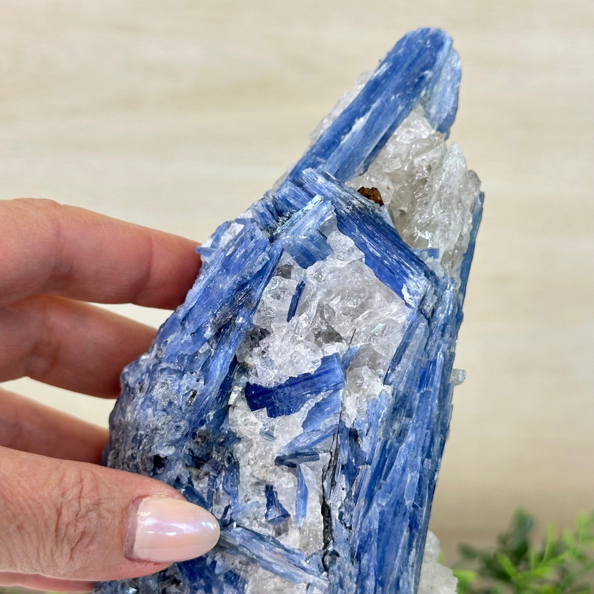 Kyanite Crystal on Metal Stand, 2.7 lbs & 10.2" Tall #6010 - 0019 - Brazil GemsBrazil GemsKyanite Crystal on Metal Stand, 2.7 lbs & 10.2" Tall #6010 - 0019Clusters on Fixed Bases6010 - 0019