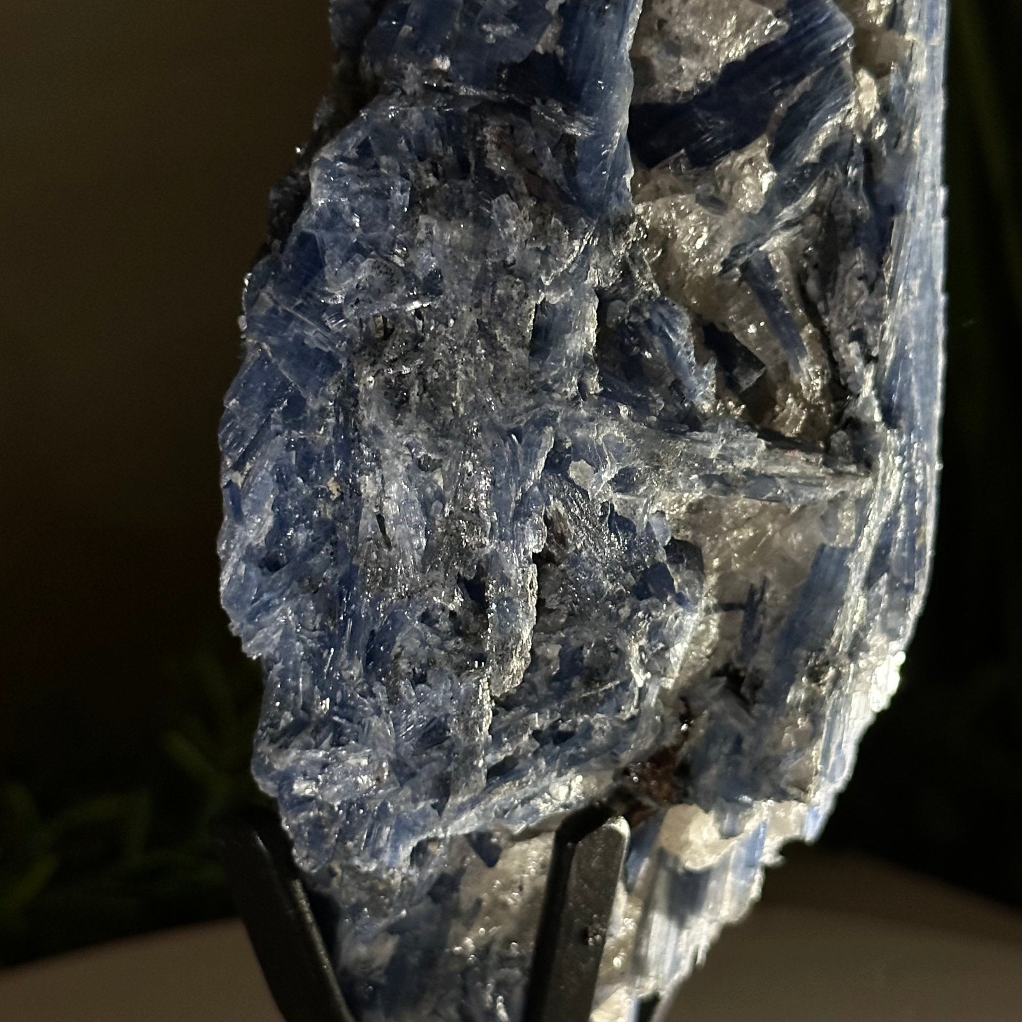 Kyanite Crystal on Metal Stand, 2.7 lbs & 10.2" Tall #6010 - 0019 - Brazil GemsBrazil GemsKyanite Crystal on Metal Stand, 2.7 lbs & 10.2" Tall #6010 - 0019Clusters on Fixed Bases6010 - 0019