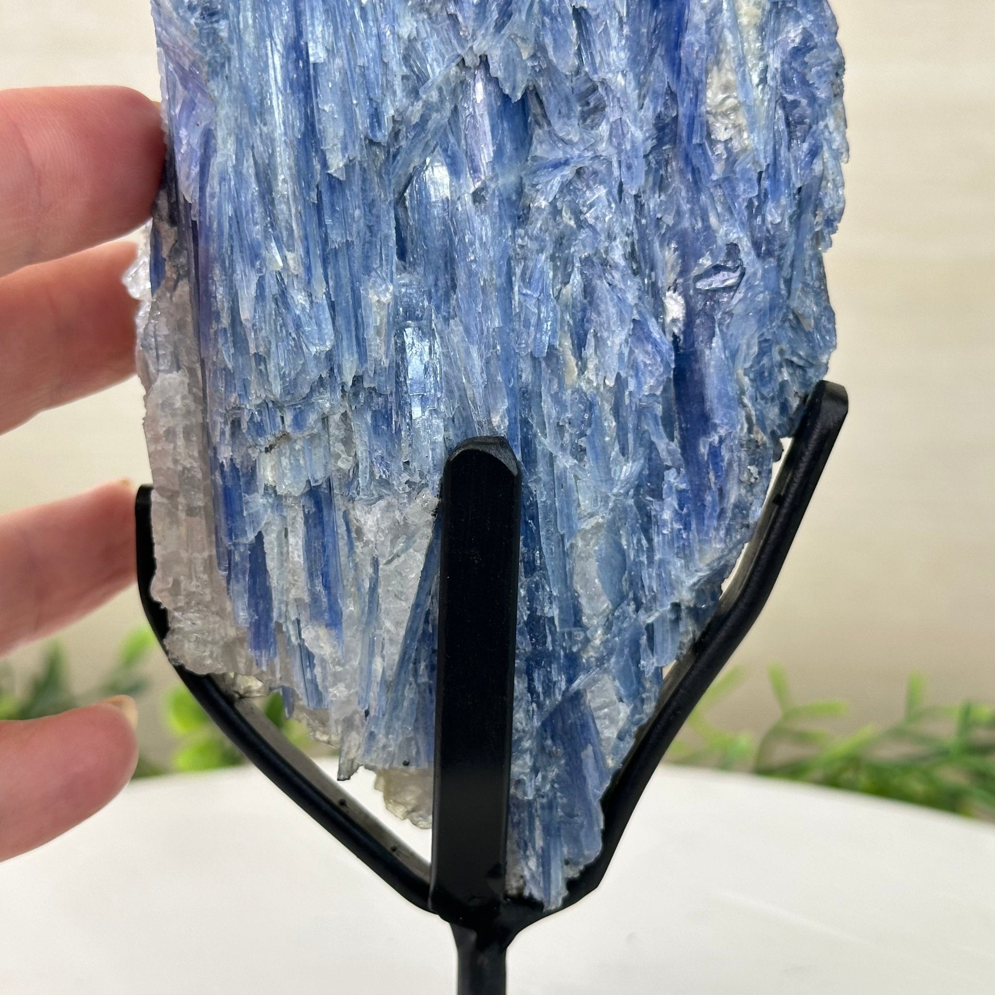 Kyanite Crystal on Metal Stand, 2.7 lbs & 10.2" Tall #6010 - 0019 - Brazil GemsBrazil GemsKyanite Crystal on Metal Stand, 2.7 lbs & 10.2" Tall #6010 - 0019Clusters on Fixed Bases6010 - 0019