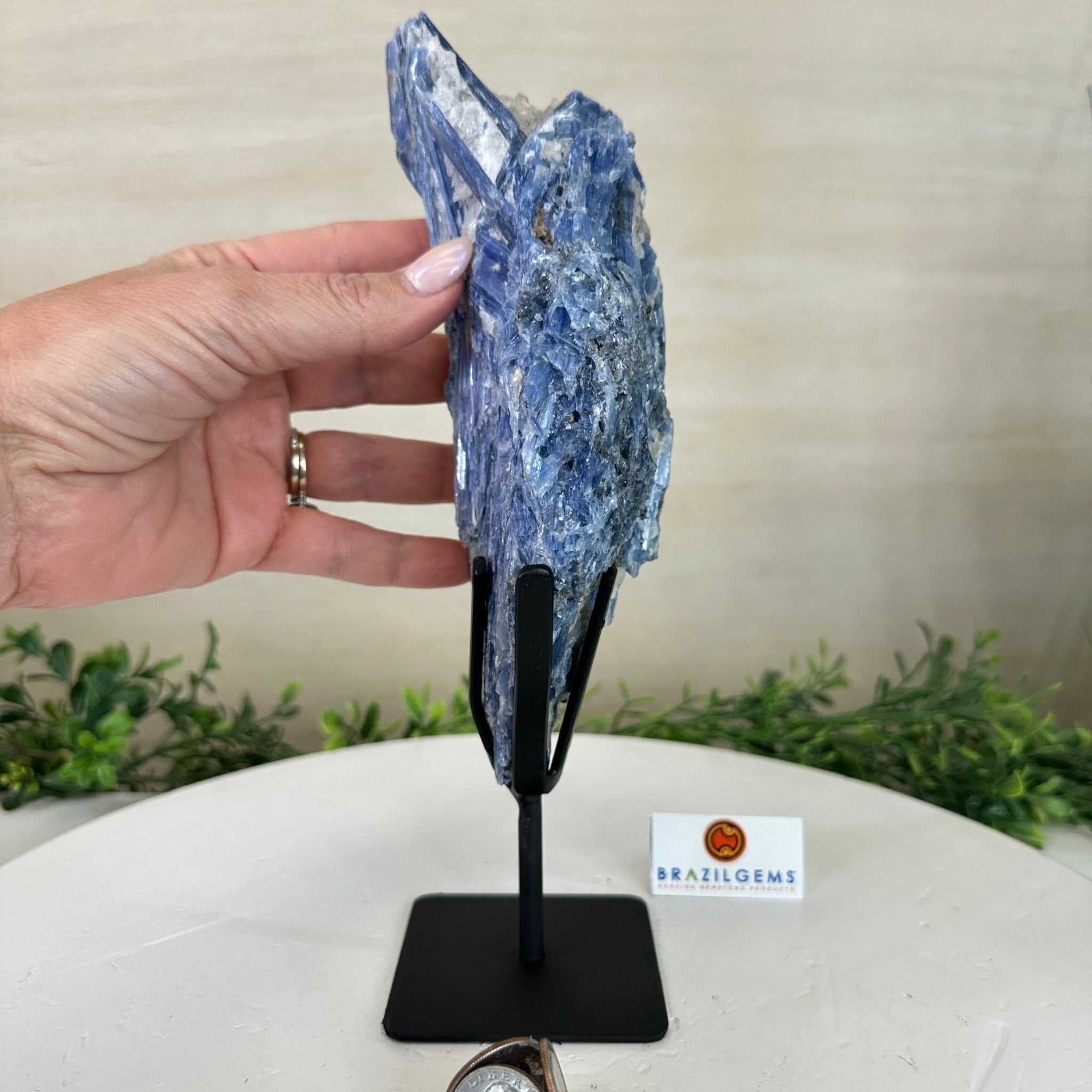 Kyanite Crystal on Metal Stand, 2.7 lbs & 10.2" Tall #6010 - 0019 - Brazil GemsBrazil GemsKyanite Crystal on Metal Stand, 2.7 lbs & 10.2" Tall #6010 - 0019Clusters on Fixed Bases6010 - 0019