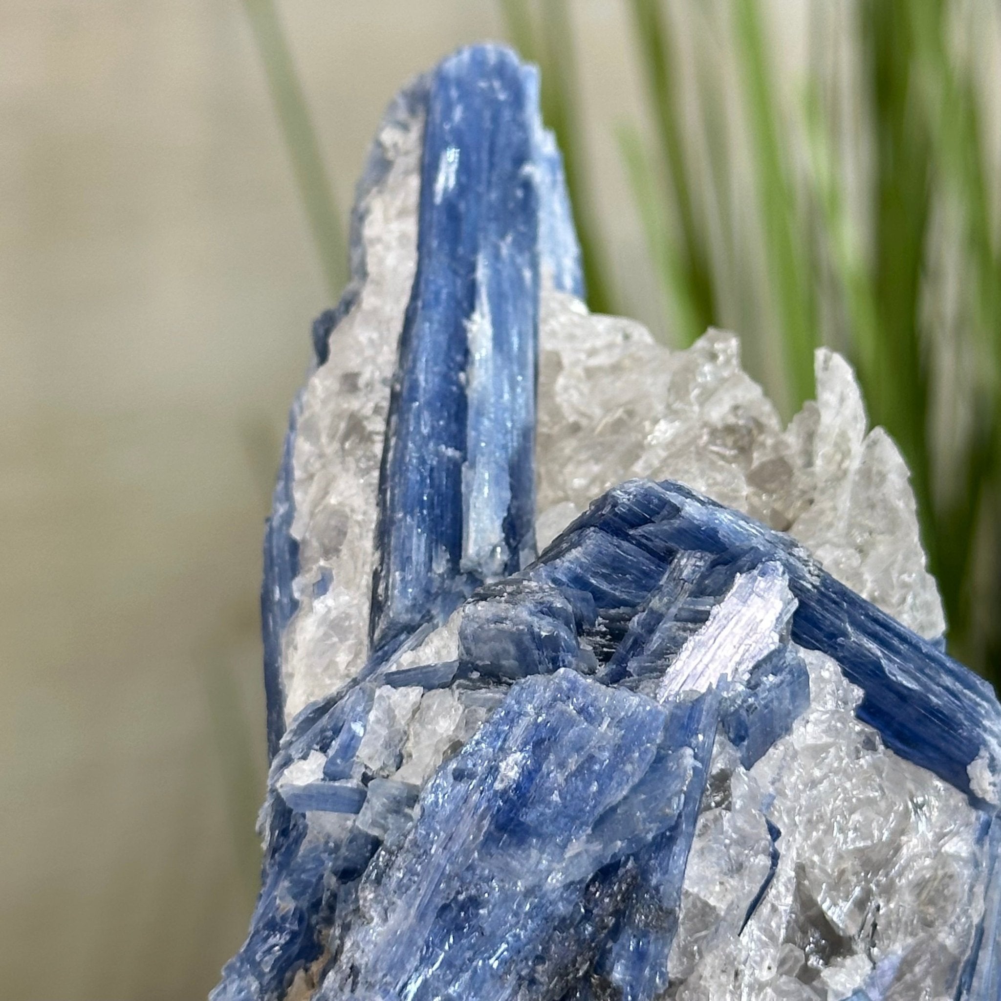 Kyanite Crystal on Metal Stand, 2.7 lbs & 10.2" Tall #6010 - 0019 - Brazil GemsBrazil GemsKyanite Crystal on Metal Stand, 2.7 lbs & 10.2" Tall #6010 - 0019Clusters on Fixed Bases6010 - 0019