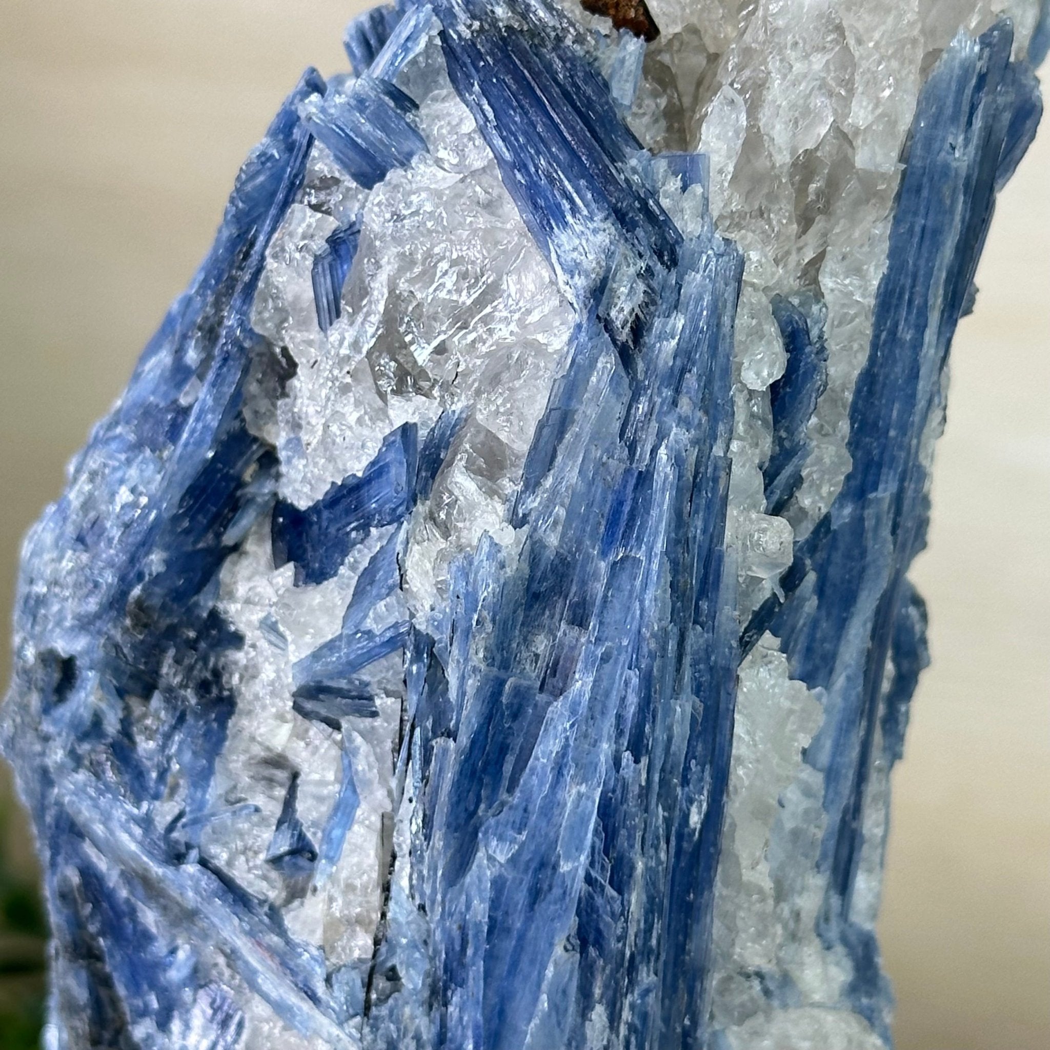 Kyanite Crystal on Metal Stand, 2.7 lbs & 10.2" Tall #6010 - 0019 - Brazil GemsBrazil GemsKyanite Crystal on Metal Stand, 2.7 lbs & 10.2" Tall #6010 - 0019Clusters on Fixed Bases6010 - 0019