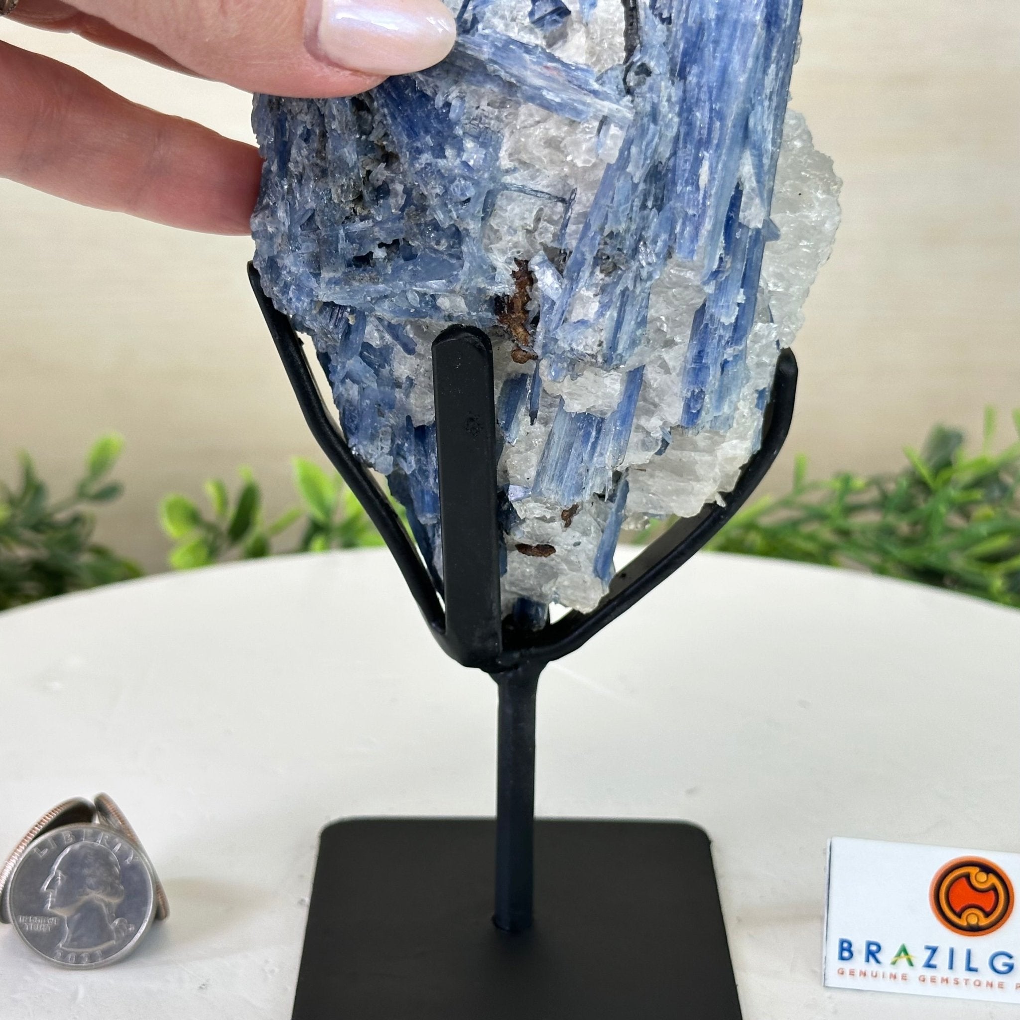 Kyanite Crystal on Metal Stand, 2.7 lbs & 10.2" Tall #6010 - 0019 - Brazil GemsBrazil GemsKyanite Crystal on Metal Stand, 2.7 lbs & 10.2" Tall #6010 - 0019Clusters on Fixed Bases6010 - 0019