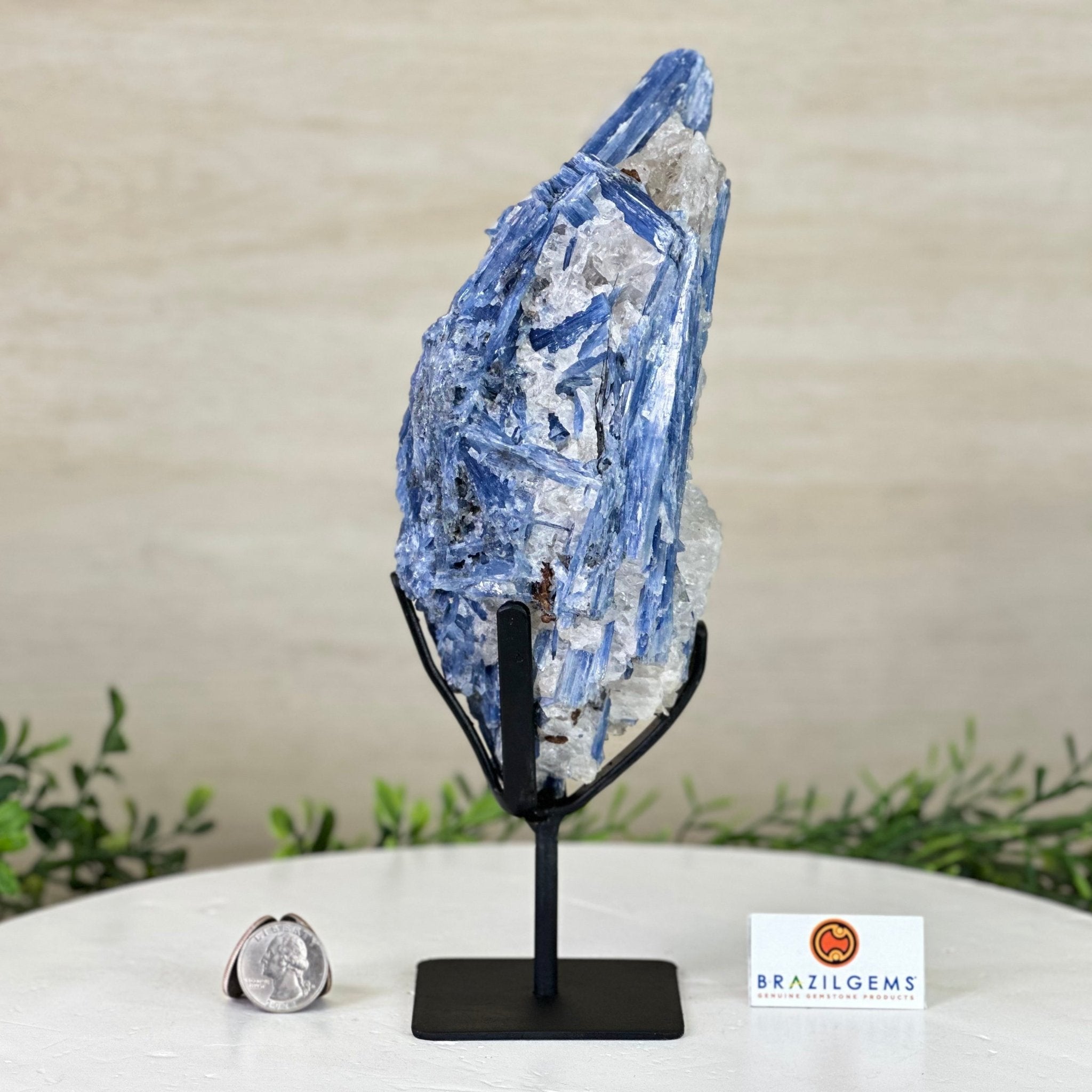 Kyanite Crystal on Metal Stand, 2.7 lbs & 10.2" Tall #6010 - 0019 - Brazil GemsBrazil GemsKyanite Crystal on Metal Stand, 2.7 lbs & 10.2" Tall #6010 - 0019Clusters on Fixed Bases6010 - 0019