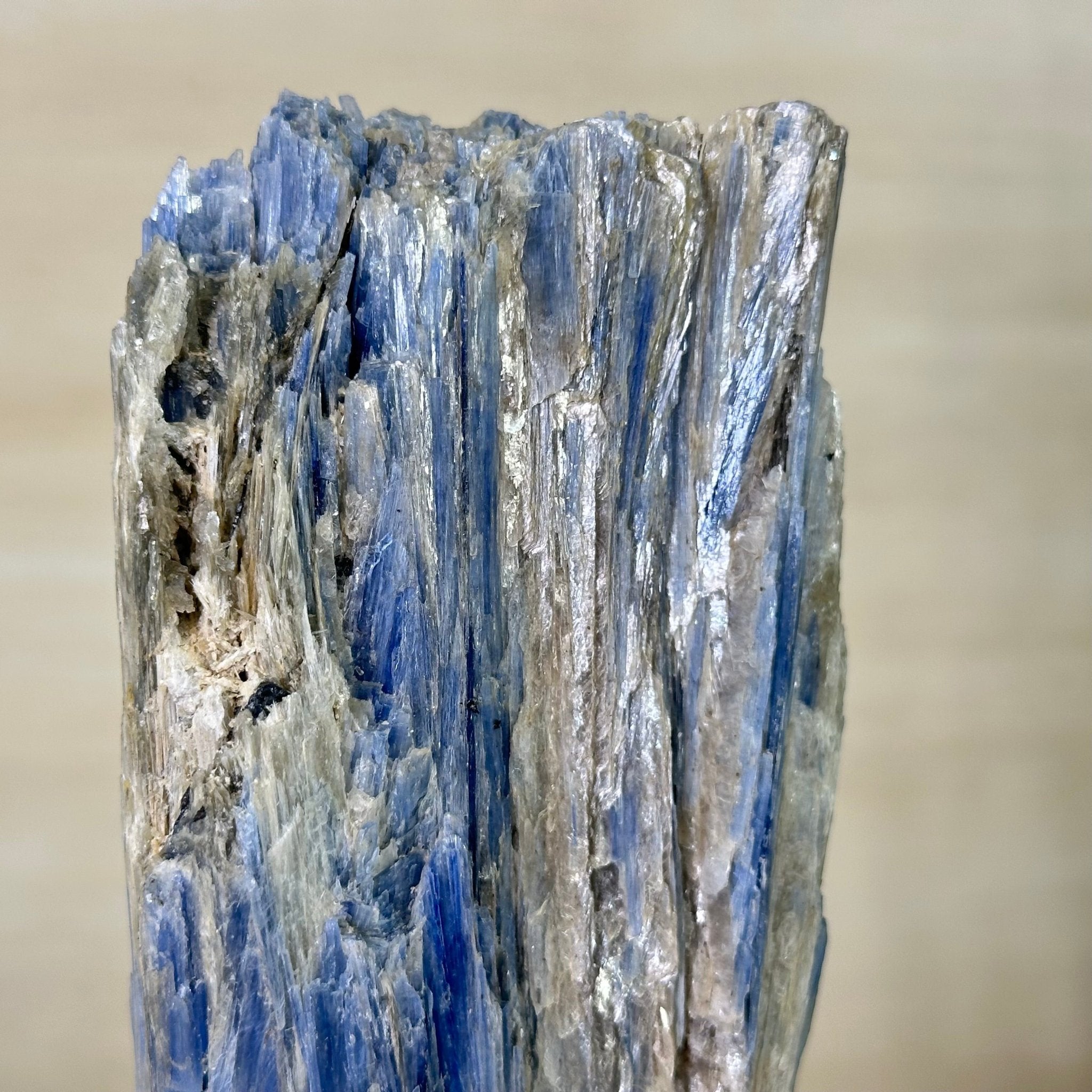 Kyanite Crystal on Metal Stand, 2.7 lbs & 10.5" Tall #6010 - 0017 - Brazil GemsBrazil GemsKyanite Crystal on Metal Stand, 2.7 lbs & 10.5" Tall #6010 - 0017Clusters on Fixed Bases6010 - 0017