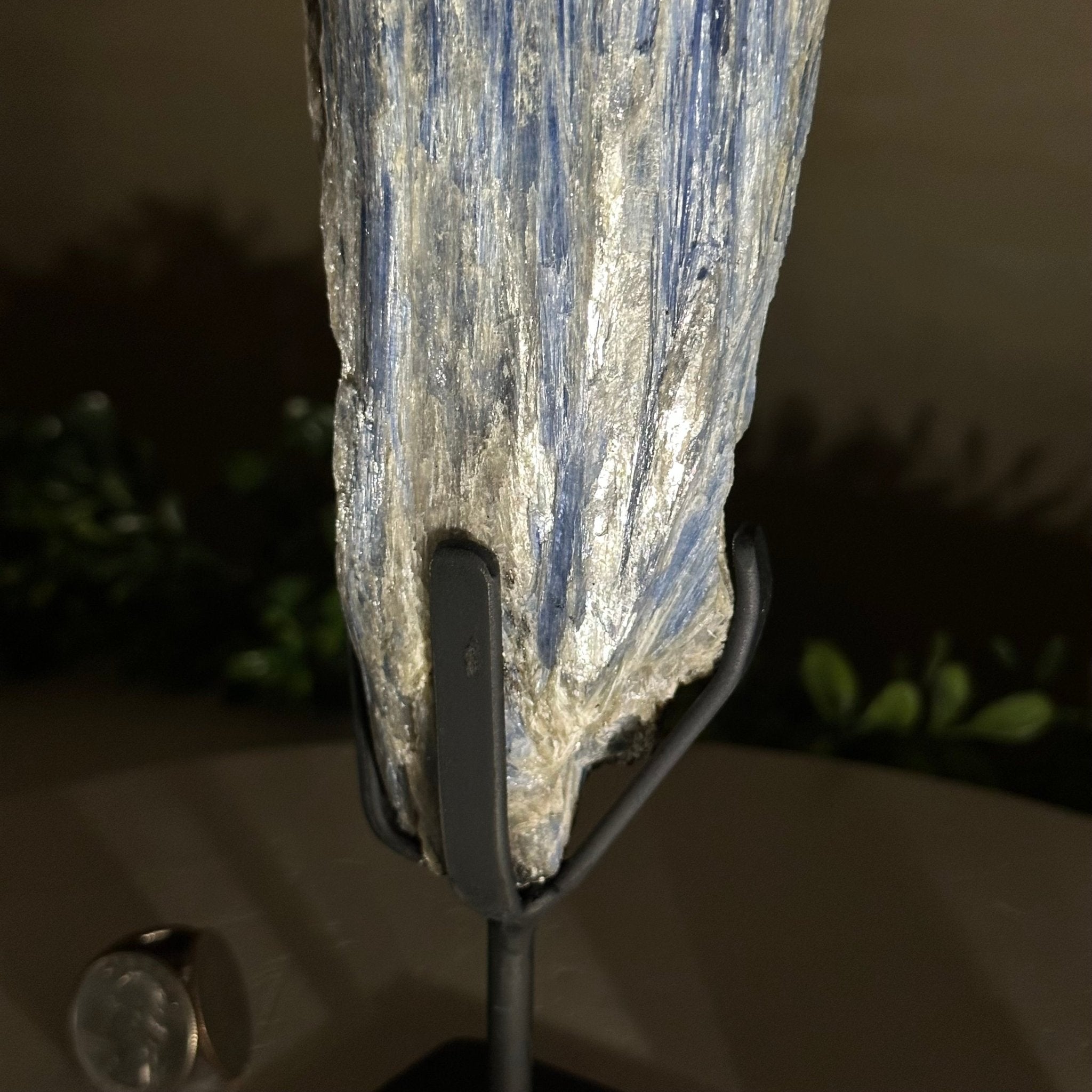 Kyanite Crystal on Metal Stand, 2.7 lbs & 10.5" Tall #6010 - 0017 - Brazil GemsBrazil GemsKyanite Crystal on Metal Stand, 2.7 lbs & 10.5" Tall #6010 - 0017Clusters on Fixed Bases6010 - 0017