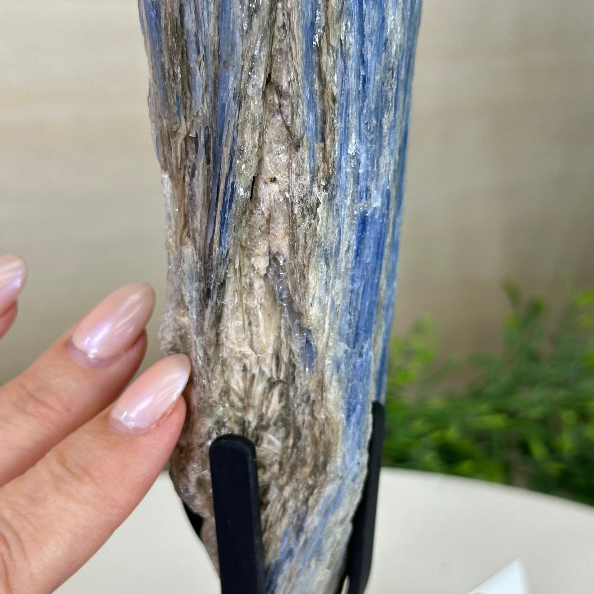 Kyanite Crystal on Metal Stand, 2.7 lbs & 10.5" Tall #6010 - 0017 - Brazil GemsBrazil GemsKyanite Crystal on Metal Stand, 2.7 lbs & 10.5" Tall #6010 - 0017Clusters on Fixed Bases6010 - 0017