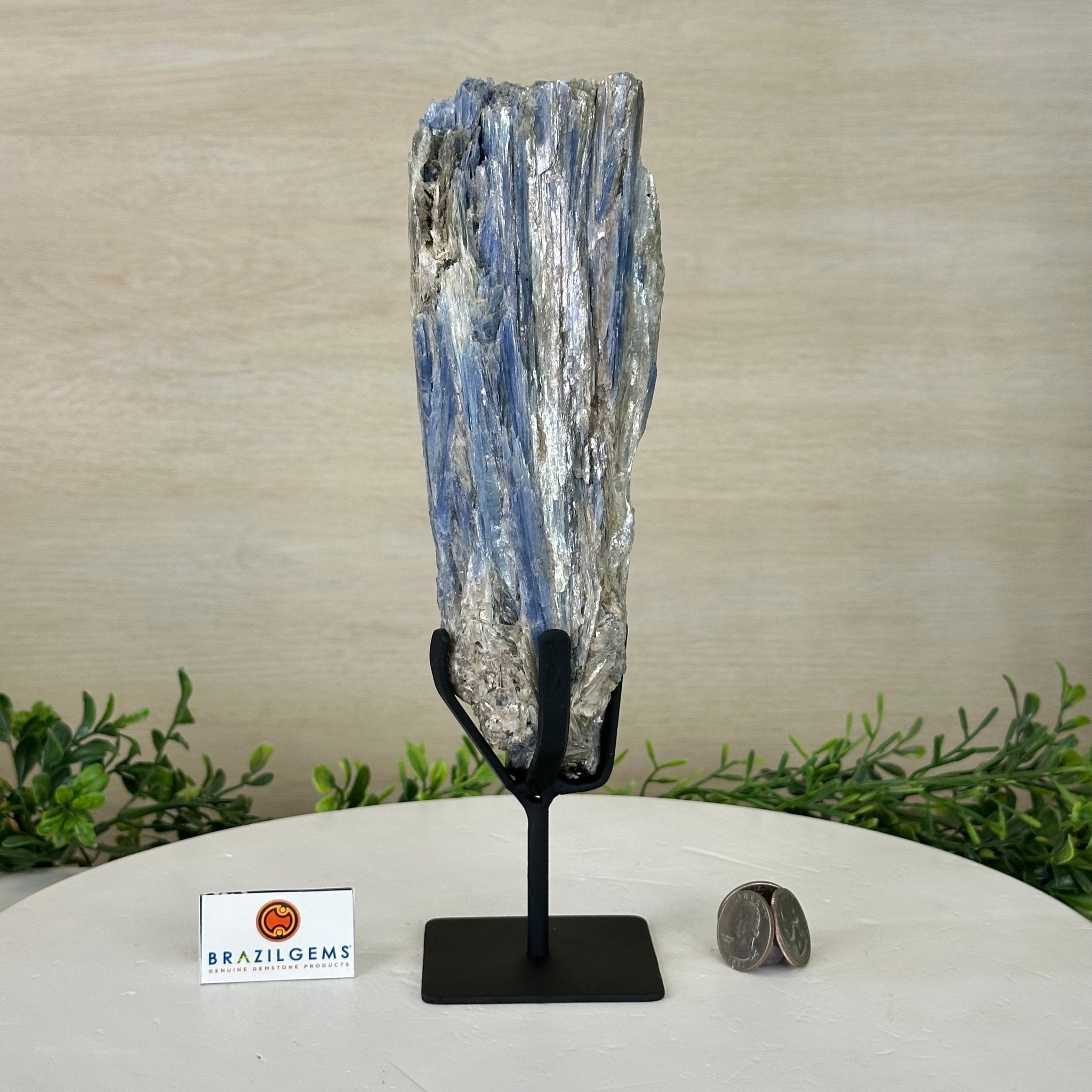 Kyanite Crystal on Metal Stand, 2.7 lbs & 10.5" Tall #6010 - 0017 - Brazil GemsBrazil GemsKyanite Crystal on Metal Stand, 2.7 lbs & 10.5" Tall #6010 - 0017Clusters on Fixed Bases6010 - 0017