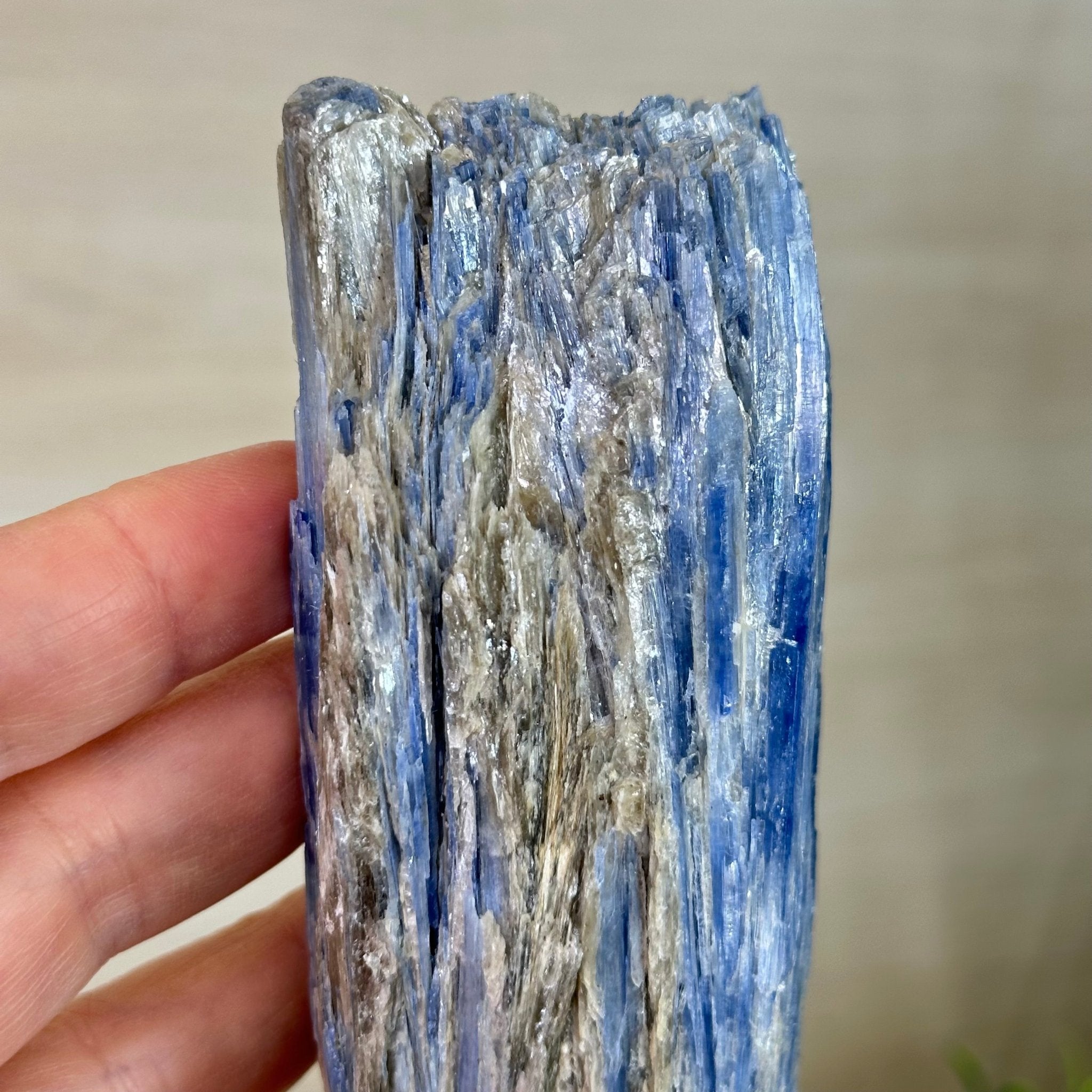 Kyanite Crystal on Metal Stand, 2.7 lbs & 10.5" Tall #6010 - 0017 - Brazil GemsBrazil GemsKyanite Crystal on Metal Stand, 2.7 lbs & 10.5" Tall #6010 - 0017Clusters on Fixed Bases6010 - 0017