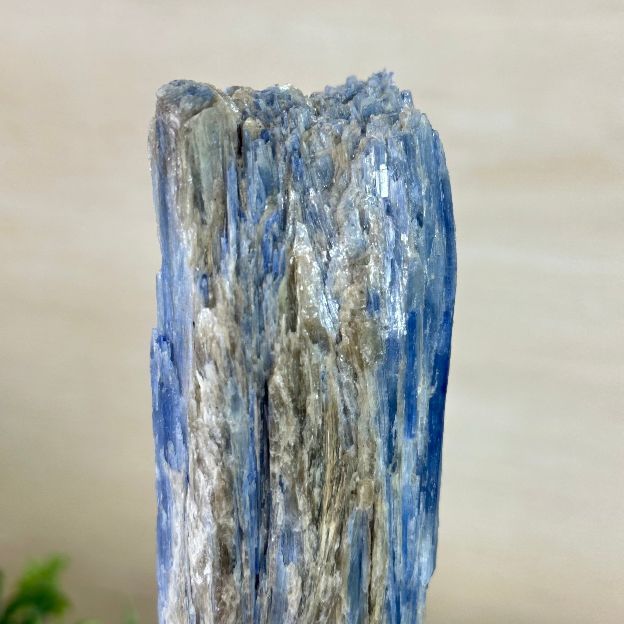 Kyanite Crystal on Metal Stand, 2.7 lbs & 10.5" Tall #6010 - 0017 - Brazil GemsBrazil GemsKyanite Crystal on Metal Stand, 2.7 lbs & 10.5" Tall #6010 - 0017Clusters on Fixed Bases6010 - 0017