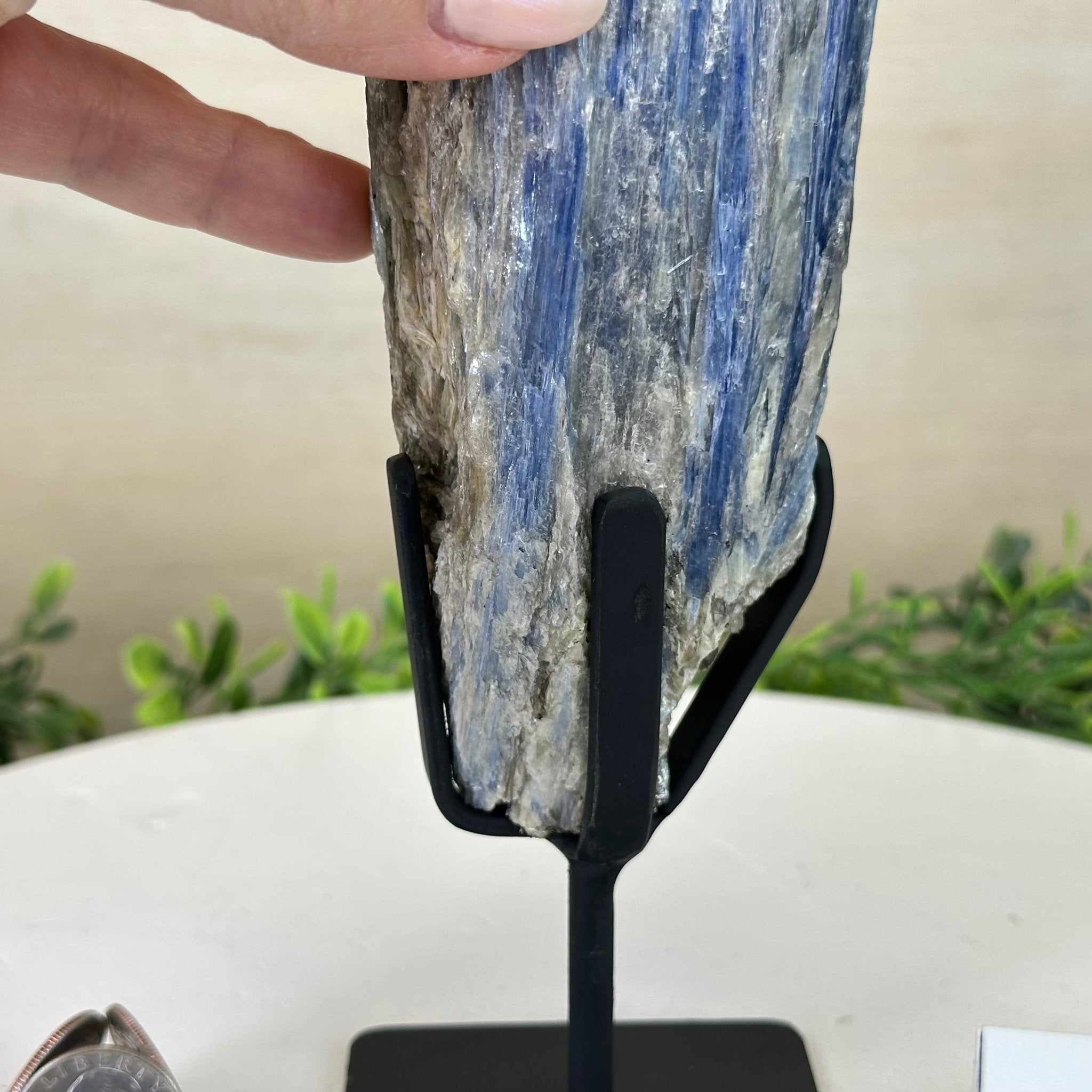 Kyanite Crystal on Metal Stand, 2.7 lbs & 10.5" Tall #6010 - 0017 - Brazil GemsBrazil GemsKyanite Crystal on Metal Stand, 2.7 lbs & 10.5" Tall #6010 - 0017Clusters on Fixed Bases6010 - 0017