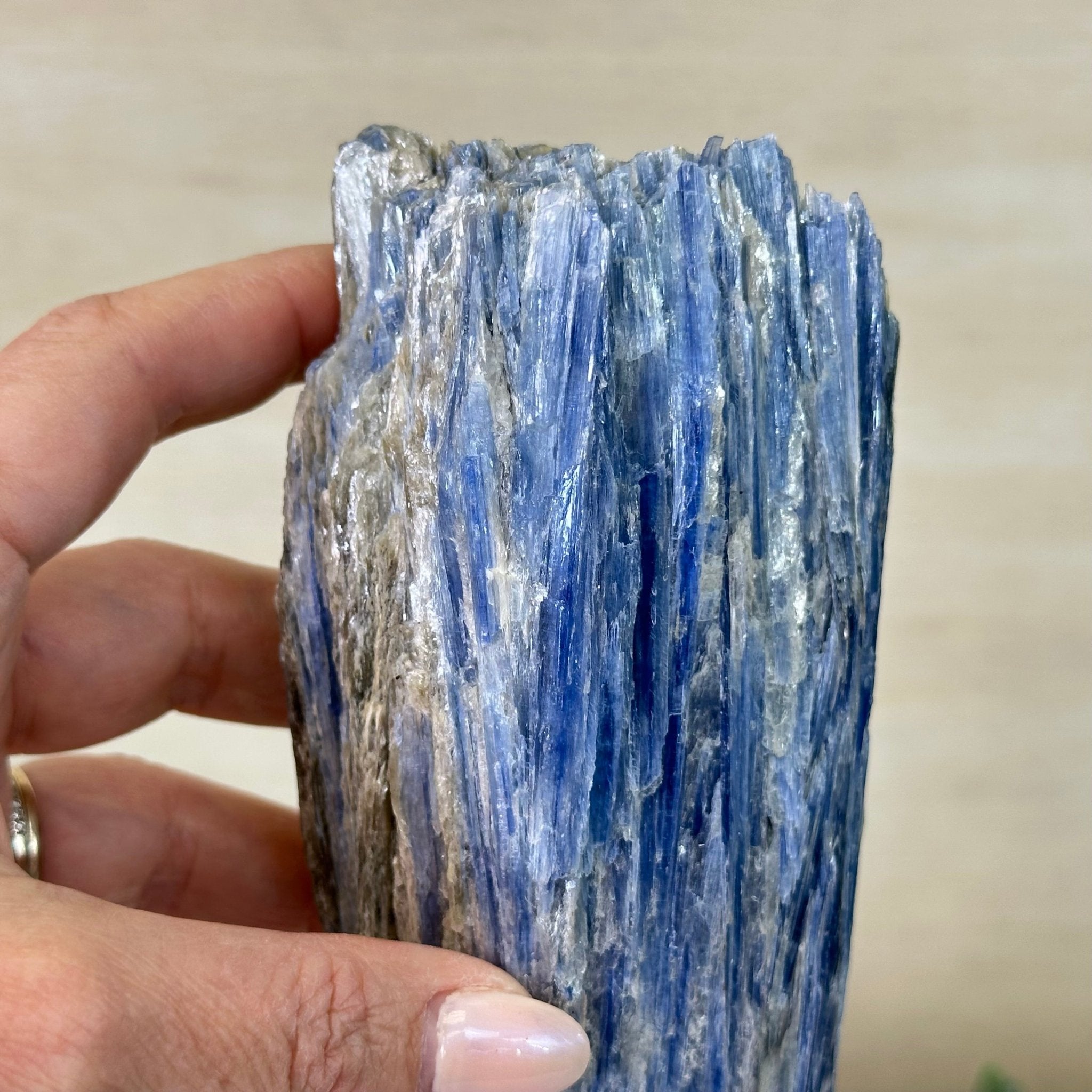 Kyanite Crystal on Metal Stand, 2.7 lbs & 10.5" Tall #6010 - 0017 - Brazil GemsBrazil GemsKyanite Crystal on Metal Stand, 2.7 lbs & 10.5" Tall #6010 - 0017Clusters on Fixed Bases6010 - 0017