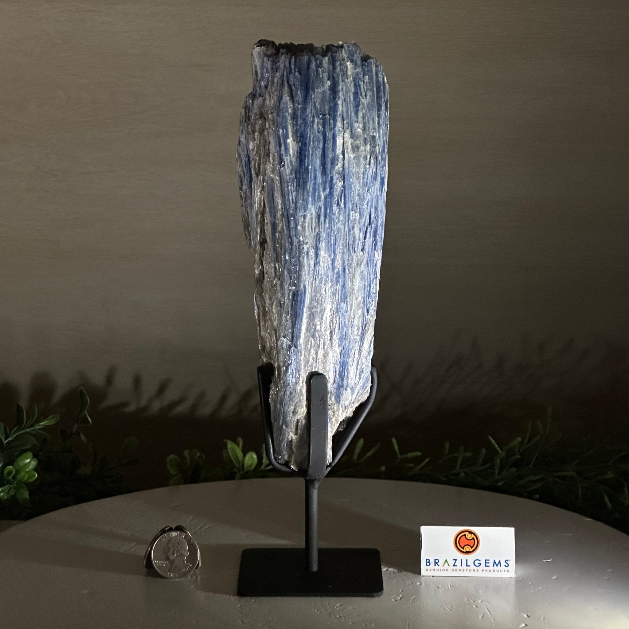 Kyanite Crystal on Metal Stand, 2.7 lbs & 10.5" Tall #6010 - 0017 - Brazil GemsBrazil GemsKyanite Crystal on Metal Stand, 2.7 lbs & 10.5" Tall #6010 - 0017Clusters on Fixed Bases6010 - 0017