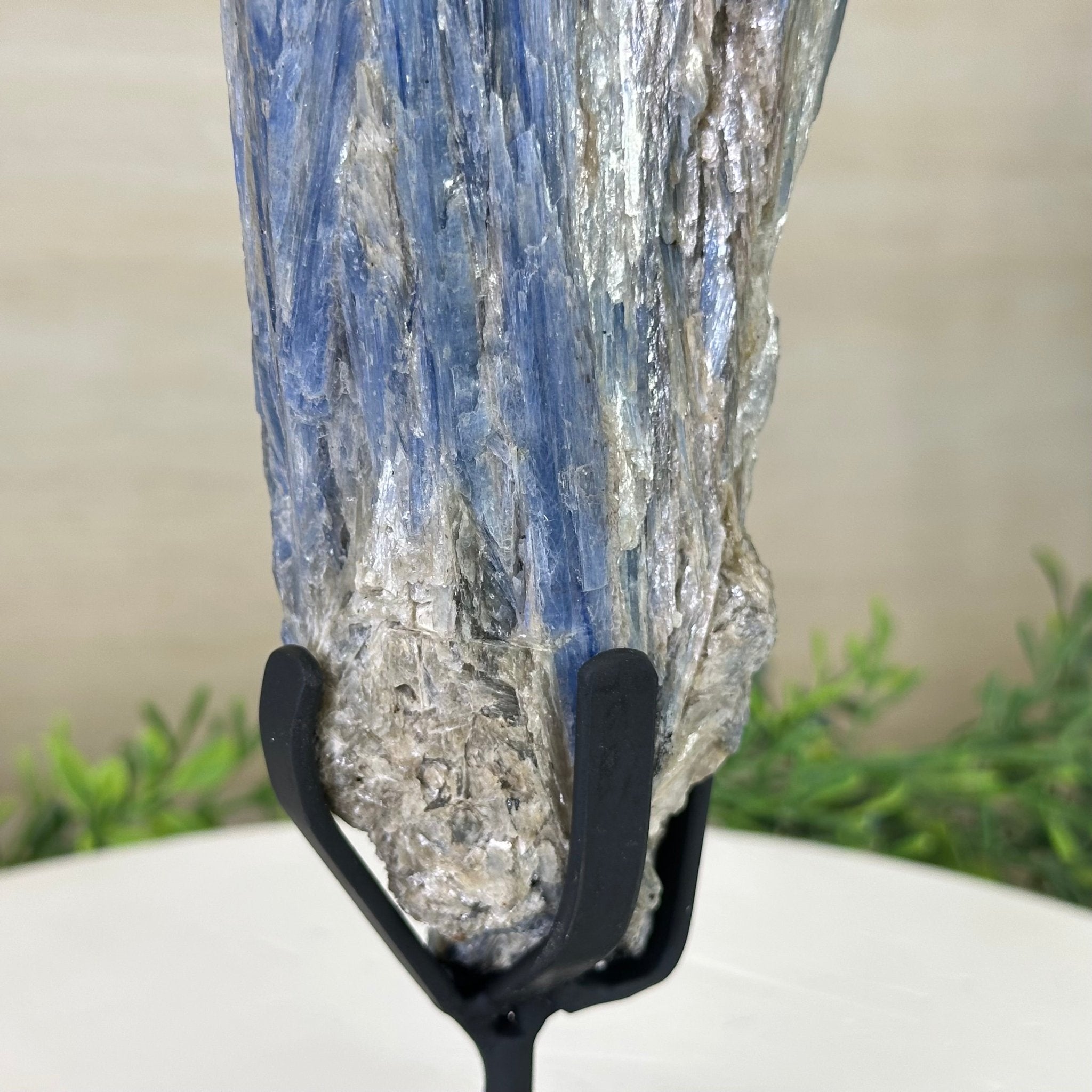 Kyanite Crystal on Metal Stand, 2.7 lbs & 10.5" Tall #6010 - 0017 - Brazil GemsBrazil GemsKyanite Crystal on Metal Stand, 2.7 lbs & 10.5" Tall #6010 - 0017Clusters on Fixed Bases6010 - 0017