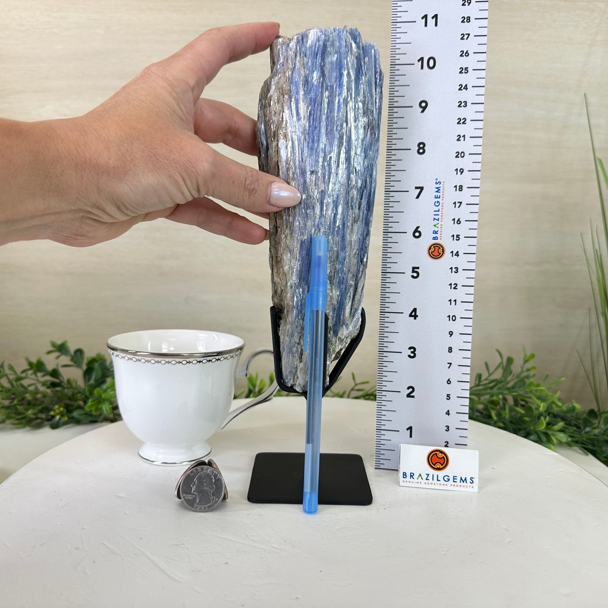 Kyanite Crystal on Metal Stand, 2.7 lbs & 10.5" Tall #6010 - 0017 - Brazil GemsBrazil GemsKyanite Crystal on Metal Stand, 2.7 lbs & 10.5" Tall #6010 - 0017Clusters on Fixed Bases6010 - 0017