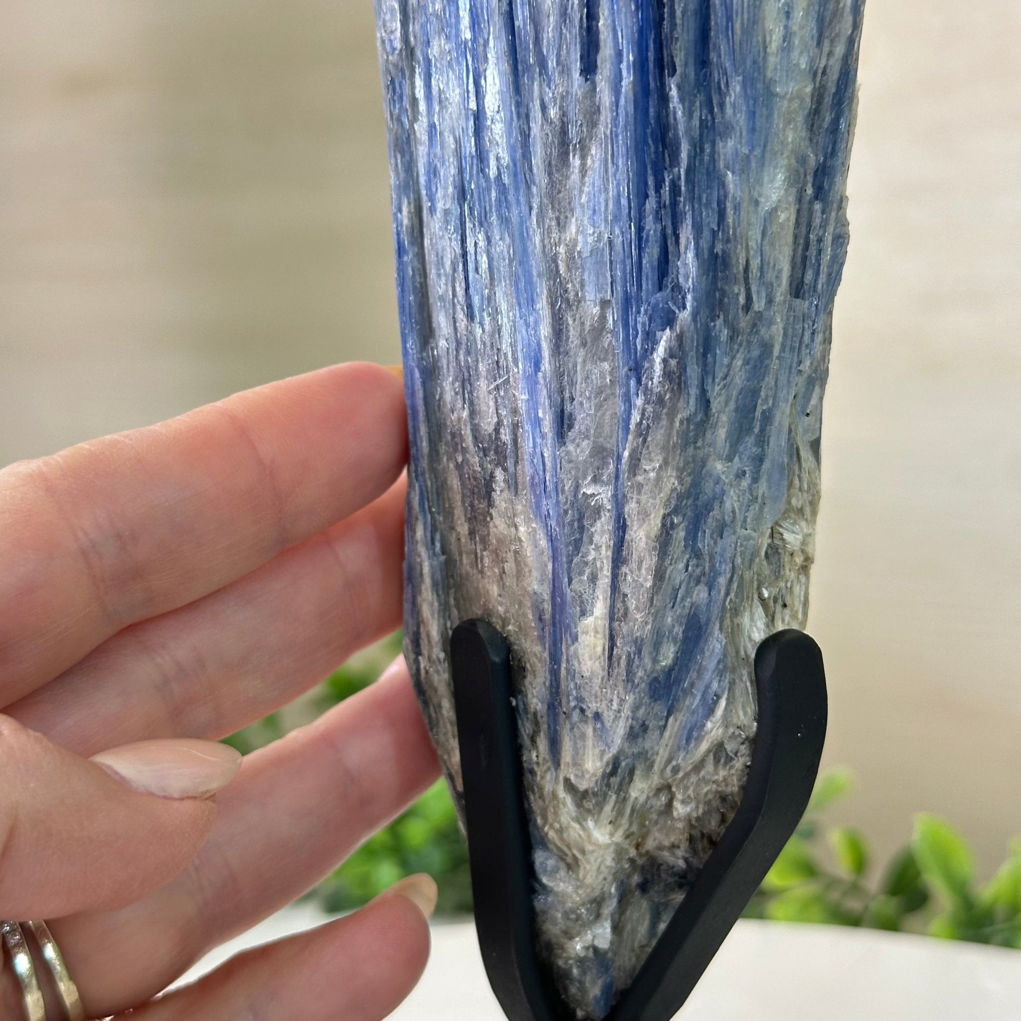 Kyanite Crystal on Metal Stand, 2.7 lbs & 10.5" Tall #6010 - 0017 - Brazil GemsBrazil GemsKyanite Crystal on Metal Stand, 2.7 lbs & 10.5" Tall #6010 - 0017Clusters on Fixed Bases6010 - 0017