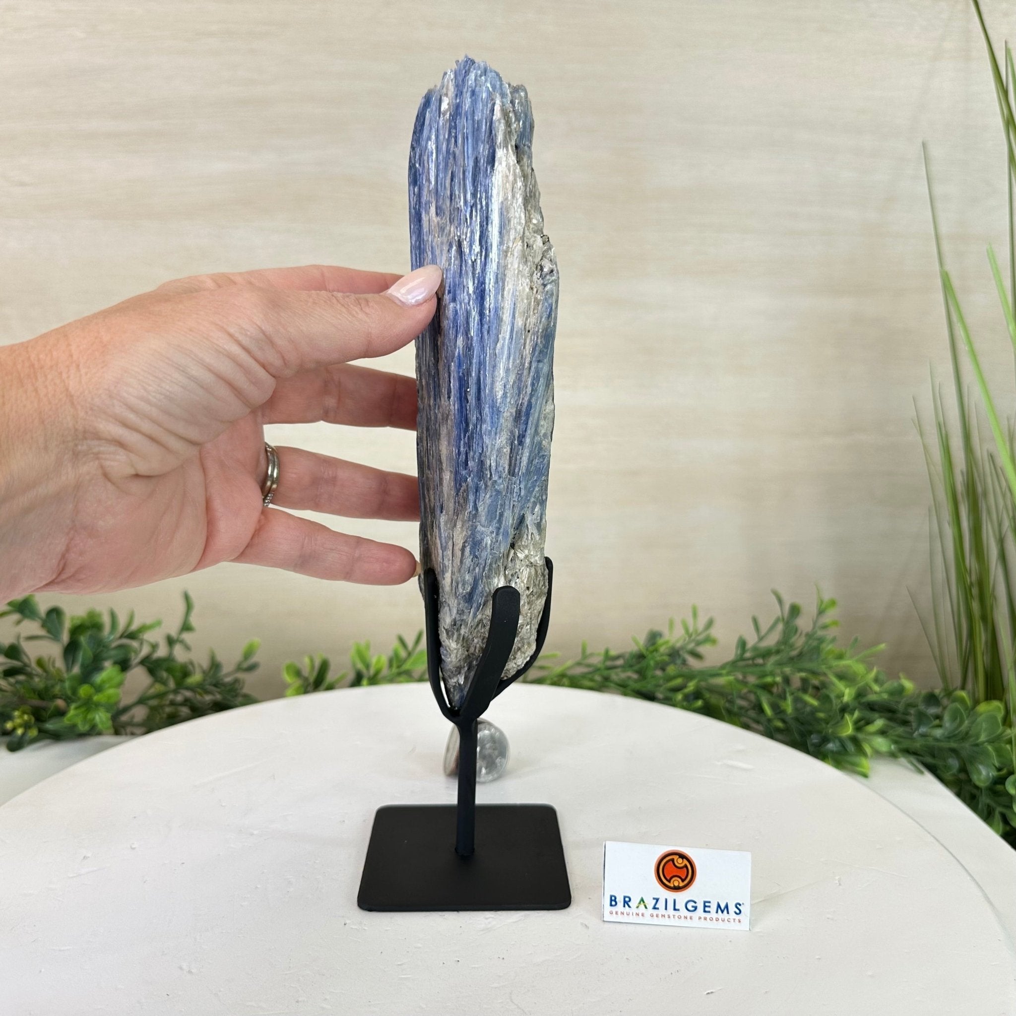 Kyanite Crystal on Metal Stand, 2.7 lbs & 10.5" Tall #6010 - 0017 - Brazil GemsBrazil GemsKyanite Crystal on Metal Stand, 2.7 lbs & 10.5" Tall #6010 - 0017Clusters on Fixed Bases6010 - 0017