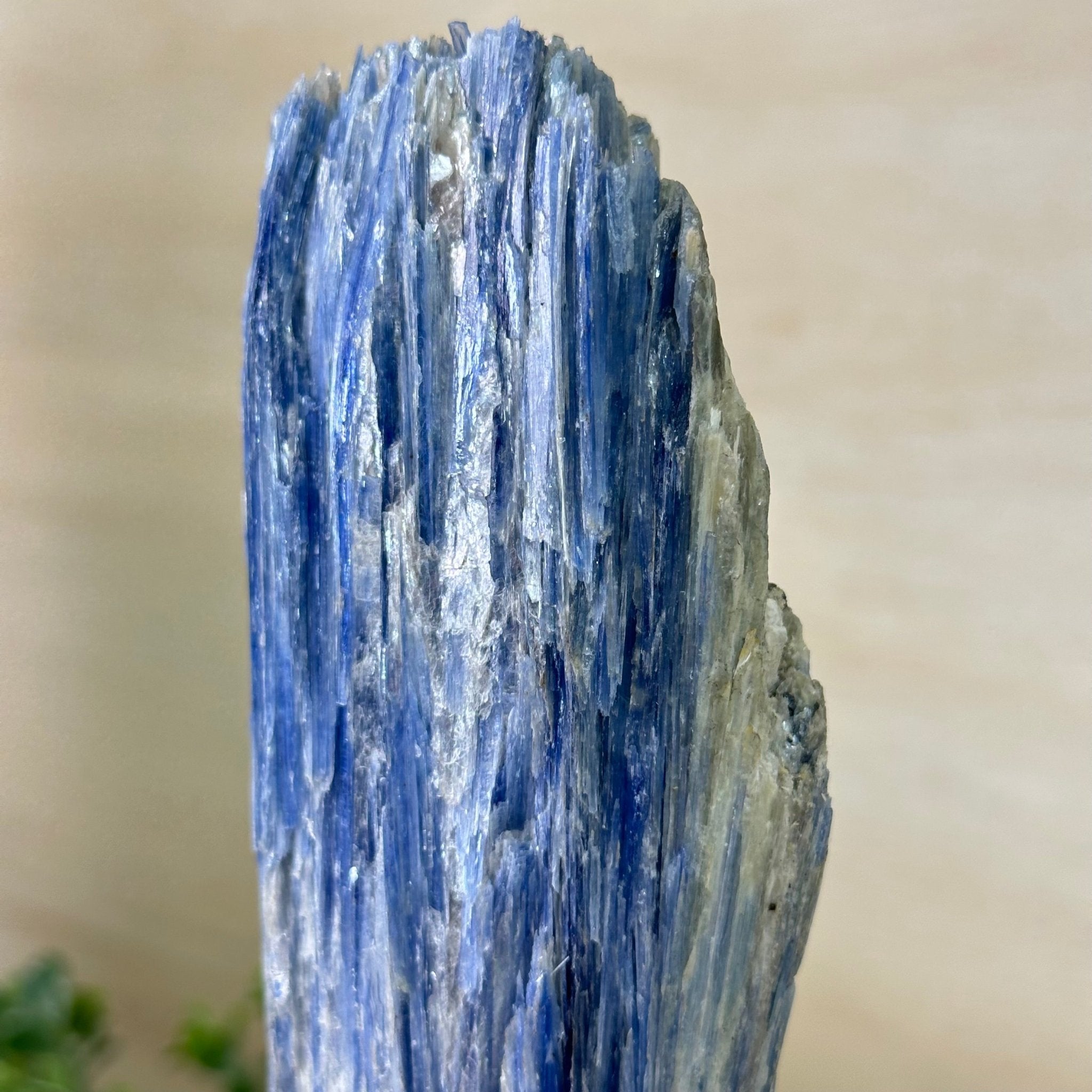 Kyanite Crystal on Metal Stand, 2.7 lbs & 10.5" Tall #6010 - 0017 - Brazil GemsBrazil GemsKyanite Crystal on Metal Stand, 2.7 lbs & 10.5" Tall #6010 - 0017Clusters on Fixed Bases6010 - 0017