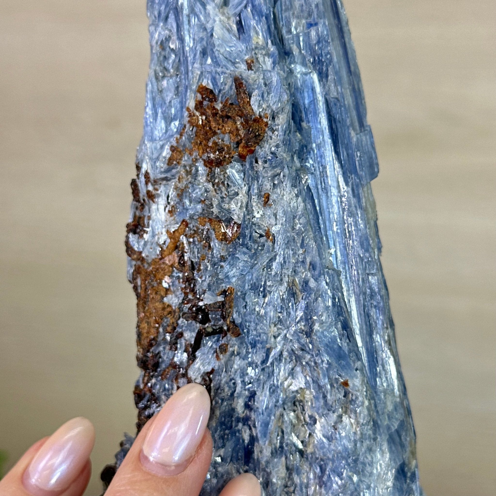 Kyanite Crystal on Metal Stand, 2.7 lbs & 11.9" Tall #6010 - 0018 - Brazil GemsBrazil GemsKyanite Crystal on Metal Stand, 2.7 lbs & 11.9" Tall #6010 - 0018Clusters on Fixed Bases6010 - 0018