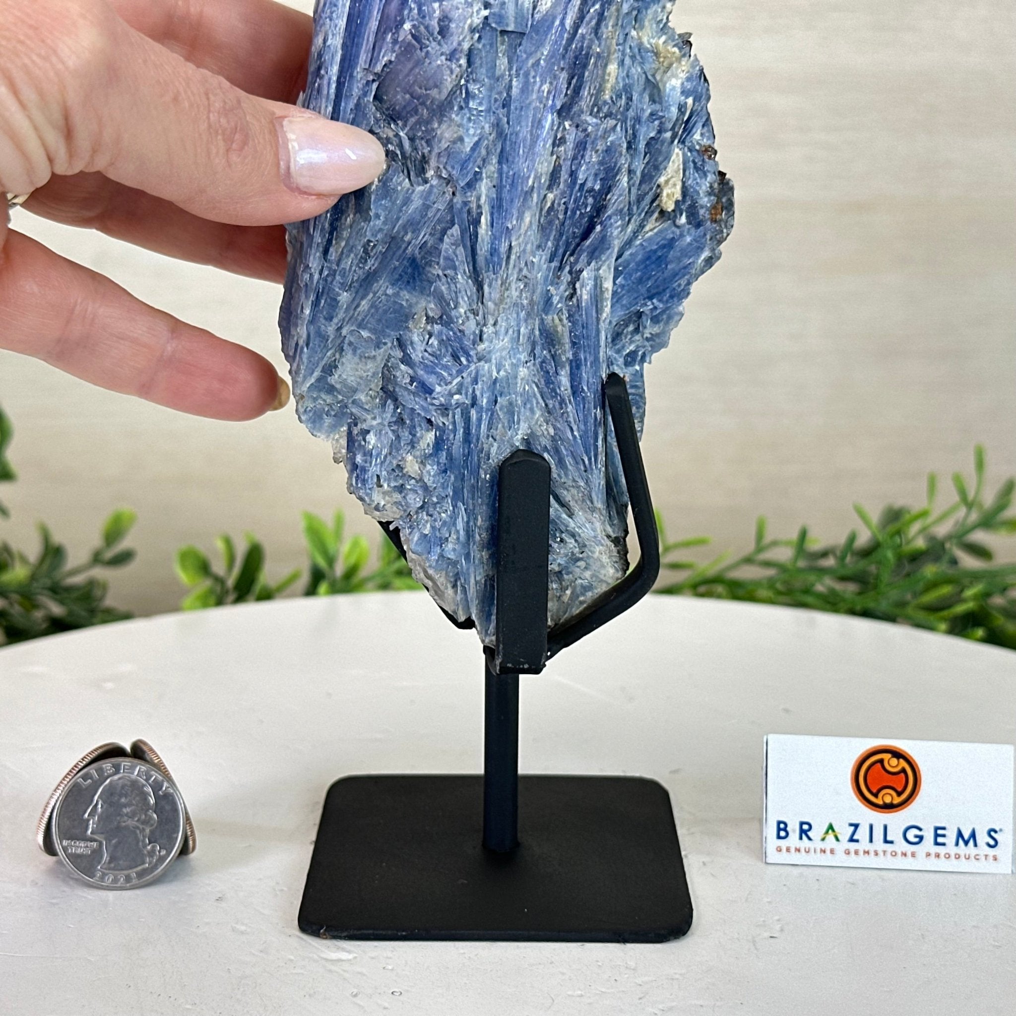 Kyanite Crystal on Metal Stand, 2.7 lbs & 11.9" Tall #6010 - 0018 - Brazil GemsBrazil GemsKyanite Crystal on Metal Stand, 2.7 lbs & 11.9" Tall #6010 - 0018Clusters on Fixed Bases6010 - 0018