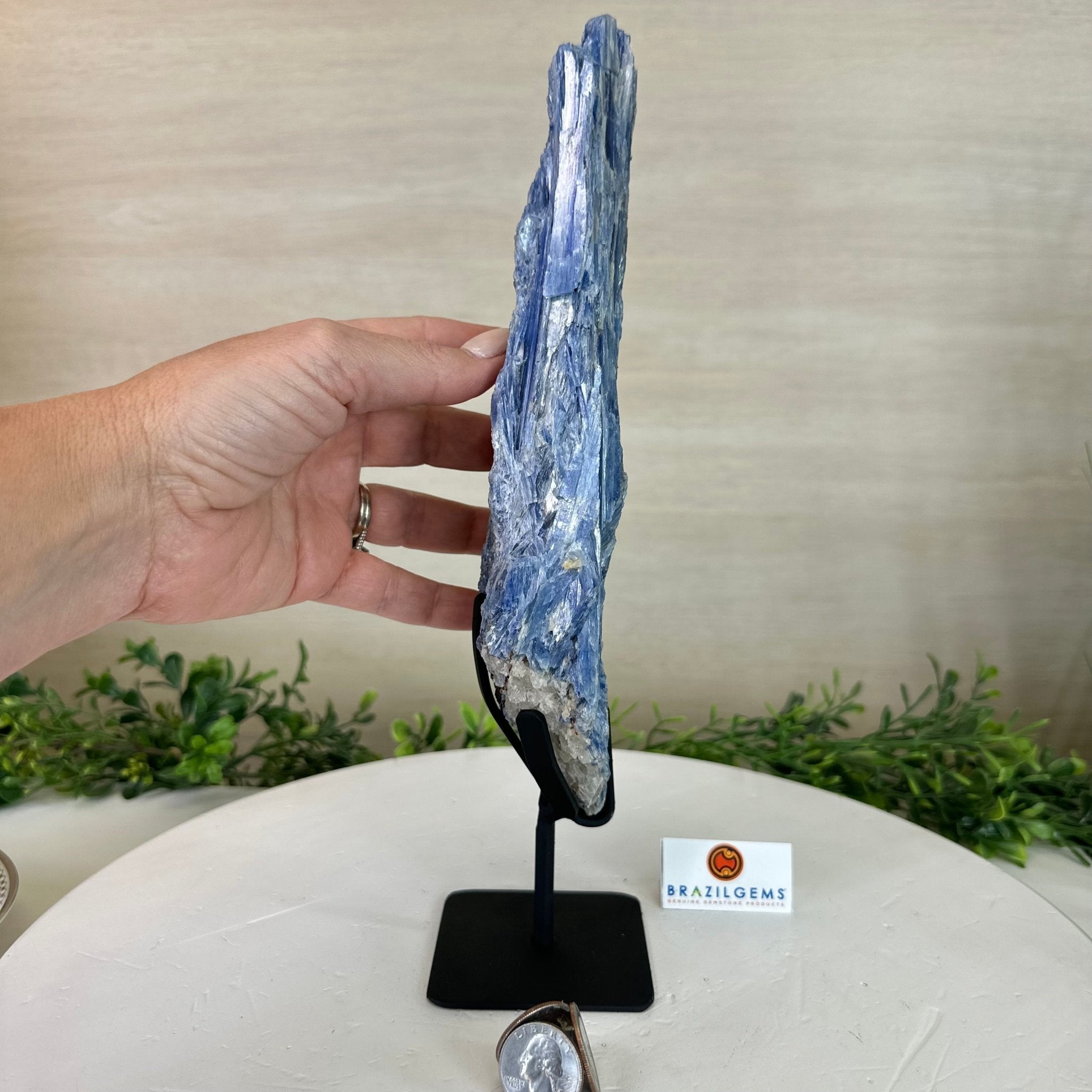 Kyanite Crystal on Metal Stand, 2.7 lbs & 11.9" Tall #6010 - 0018 - Brazil GemsBrazil GemsKyanite Crystal on Metal Stand, 2.7 lbs & 11.9" Tall #6010 - 0018Clusters on Fixed Bases6010 - 0018