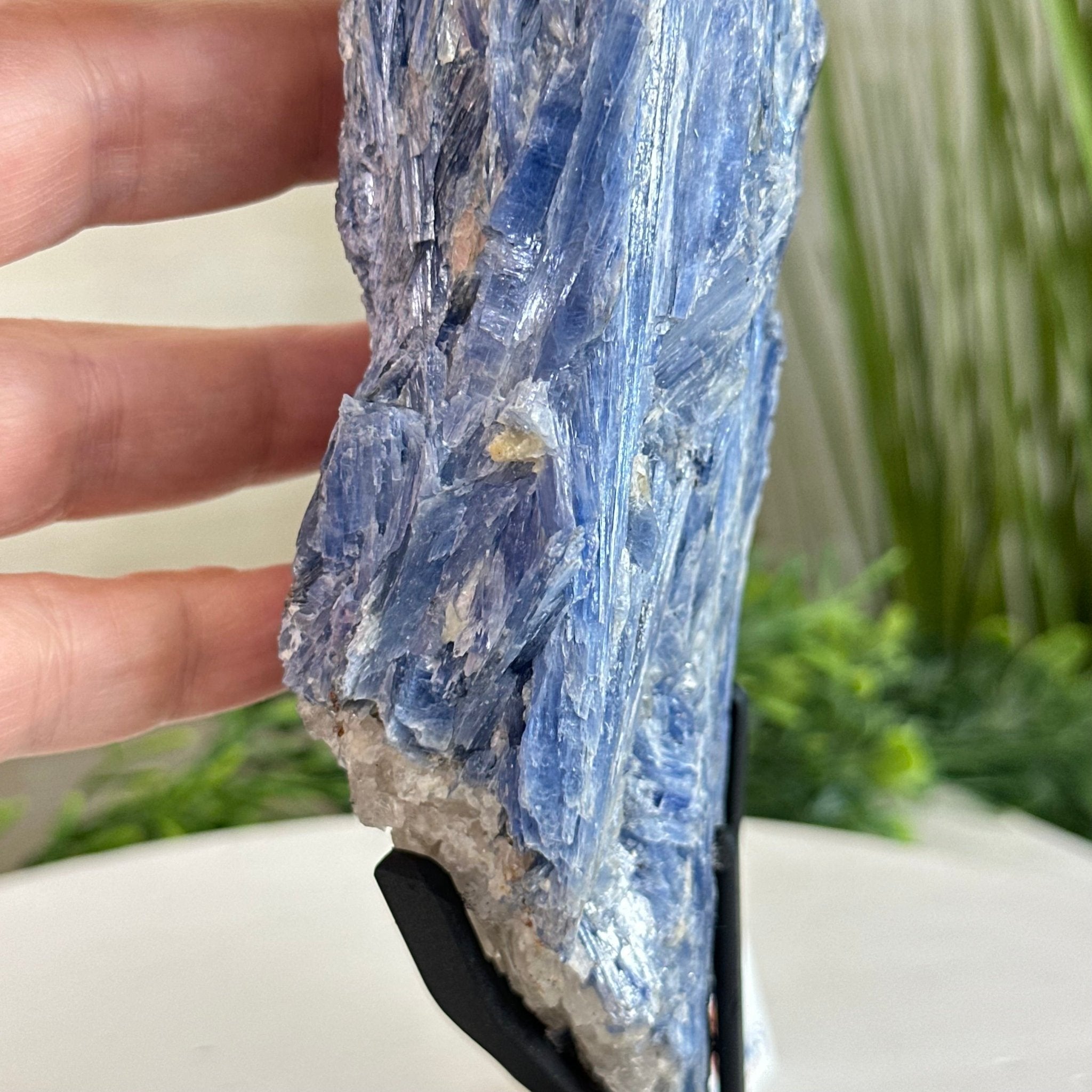 Kyanite Crystal on Metal Stand, 2.7 lbs & 11.9" Tall #6010 - 0018 - Brazil GemsBrazil GemsKyanite Crystal on Metal Stand, 2.7 lbs & 11.9" Tall #6010 - 0018Clusters on Fixed Bases6010 - 0018