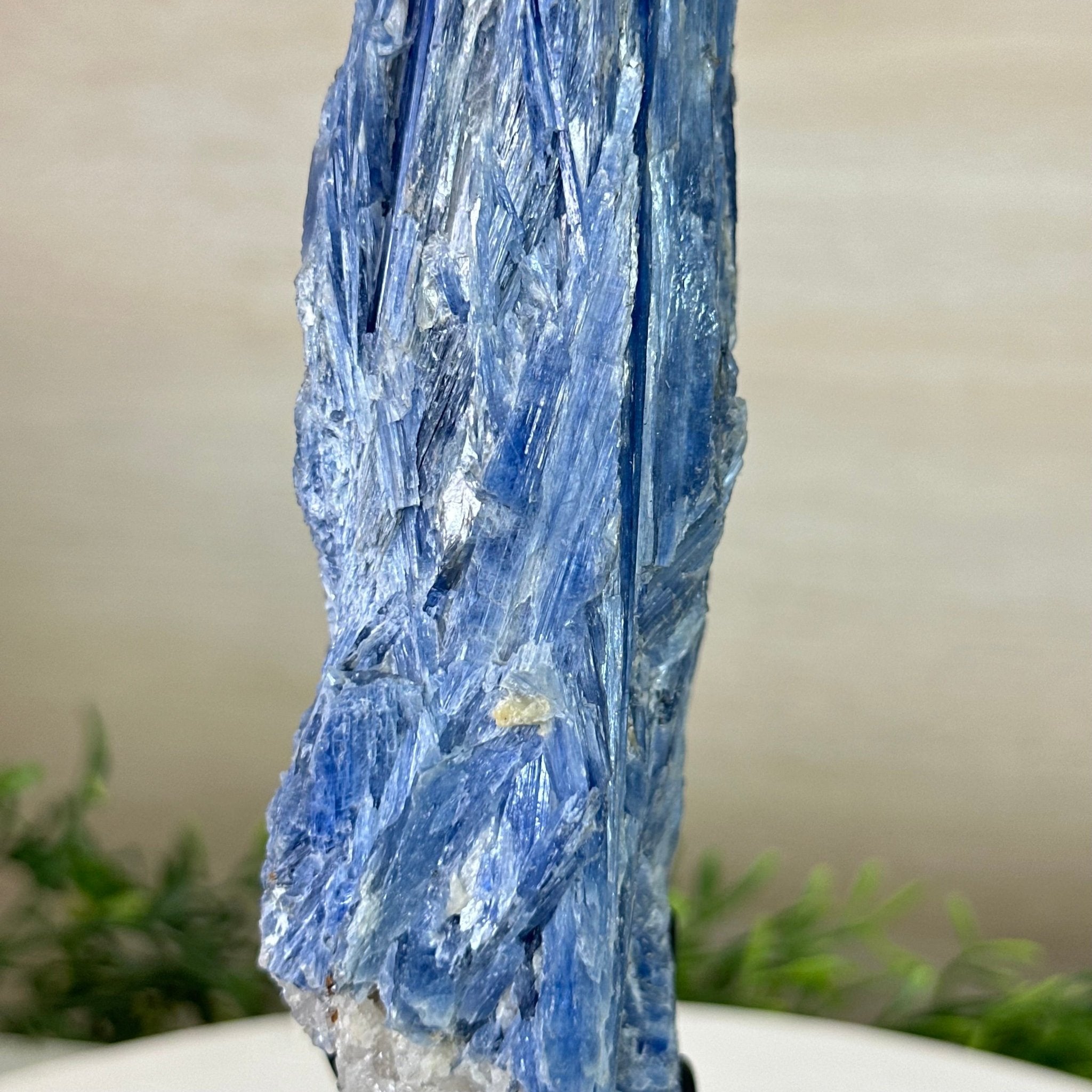 Kyanite Crystal on Metal Stand, 2.7 lbs & 11.9" Tall #6010 - 0018 - Brazil GemsBrazil GemsKyanite Crystal on Metal Stand, 2.7 lbs & 11.9" Tall #6010 - 0018Clusters on Fixed Bases6010 - 0018