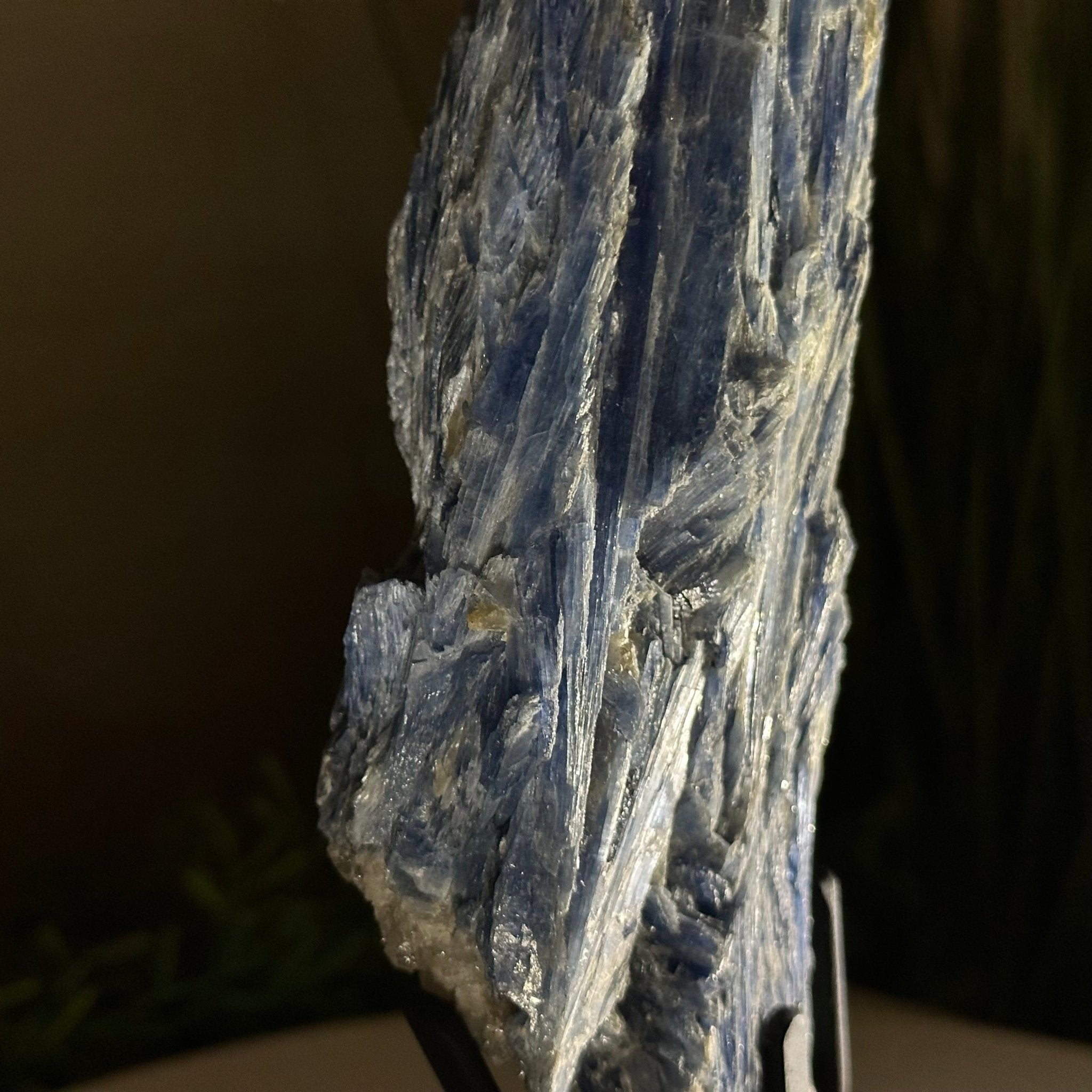 Kyanite Crystal on Metal Stand, 2.7 lbs & 11.9" Tall #6010 - 0018 - Brazil GemsBrazil GemsKyanite Crystal on Metal Stand, 2.7 lbs & 11.9" Tall #6010 - 0018Clusters on Fixed Bases6010 - 0018