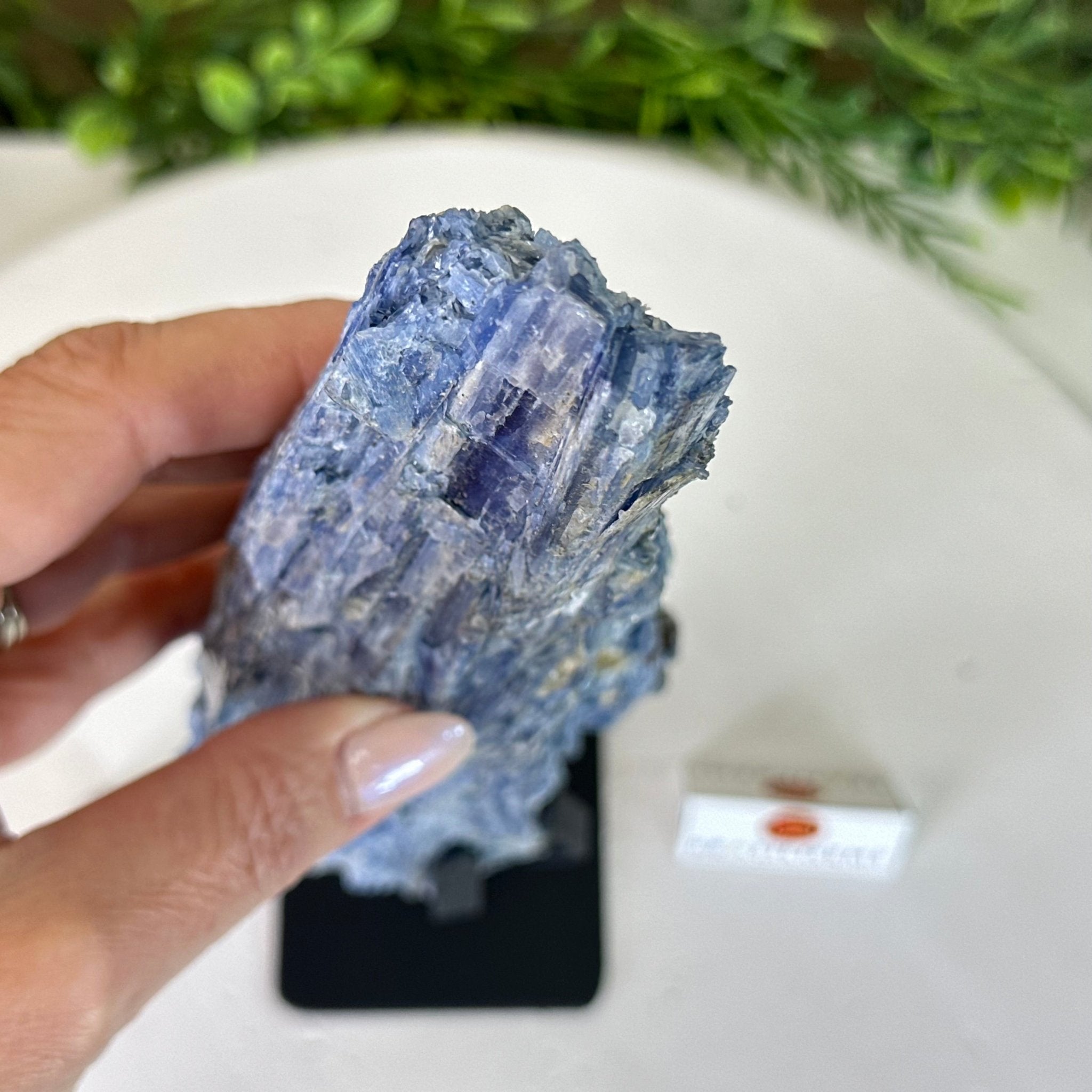 Kyanite Crystal on Metal Stand, 2.7 lbs & 11.9" Tall #6010 - 0018 - Brazil GemsBrazil GemsKyanite Crystal on Metal Stand, 2.7 lbs & 11.9" Tall #6010 - 0018Clusters on Fixed Bases6010 - 0018