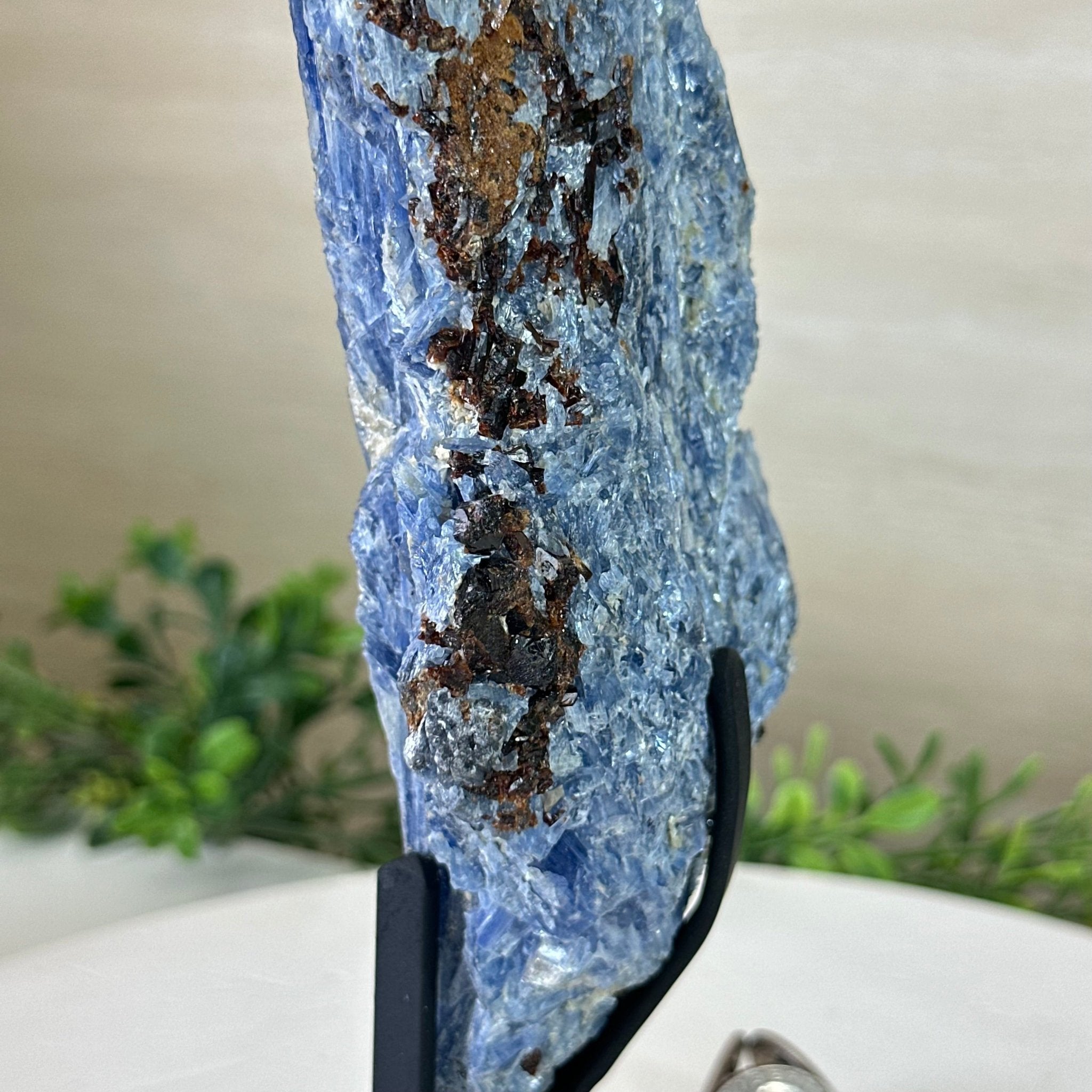 Kyanite Crystal on Metal Stand, 2.7 lbs & 11.9" Tall #6010 - 0018 - Brazil GemsBrazil GemsKyanite Crystal on Metal Stand, 2.7 lbs & 11.9" Tall #6010 - 0018Clusters on Fixed Bases6010 - 0018