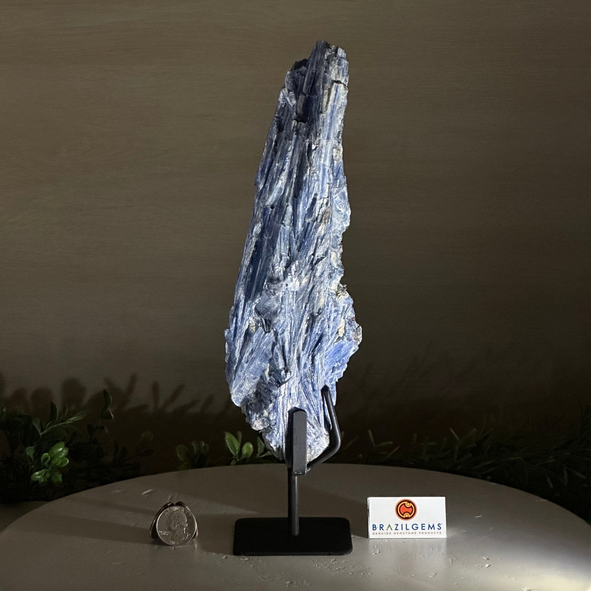 Kyanite Crystal on Metal Stand, 2.7 lbs & 11.9" Tall #6010 - 0018 - Brazil GemsBrazil GemsKyanite Crystal on Metal Stand, 2.7 lbs & 11.9" Tall #6010 - 0018Clusters on Fixed Bases6010 - 0018