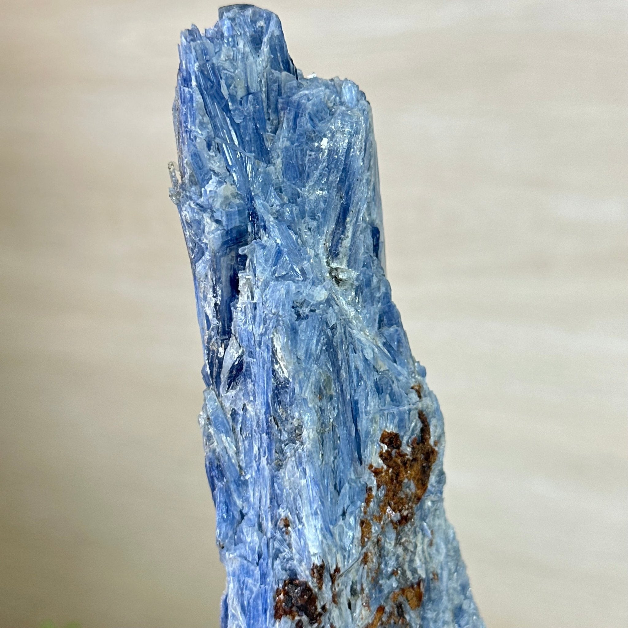 Kyanite Crystal on Metal Stand, 2.7 lbs & 11.9" Tall #6010 - 0018 - Brazil GemsBrazil GemsKyanite Crystal on Metal Stand, 2.7 lbs & 11.9" Tall #6010 - 0018Clusters on Fixed Bases6010 - 0018