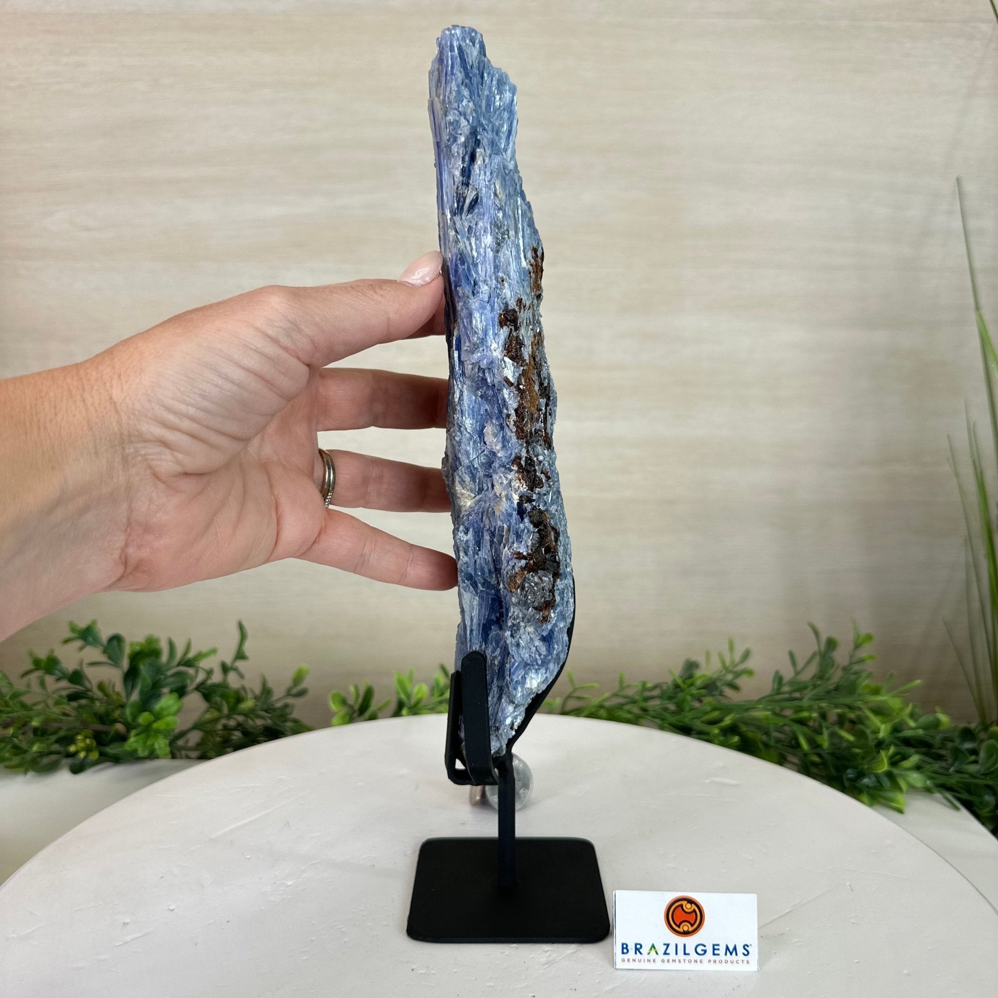 Kyanite Crystal on Metal Stand, 2.7 lbs & 11.9" Tall #6010 - 0018 - Brazil GemsBrazil GemsKyanite Crystal on Metal Stand, 2.7 lbs & 11.9" Tall #6010 - 0018Clusters on Fixed Bases6010 - 0018