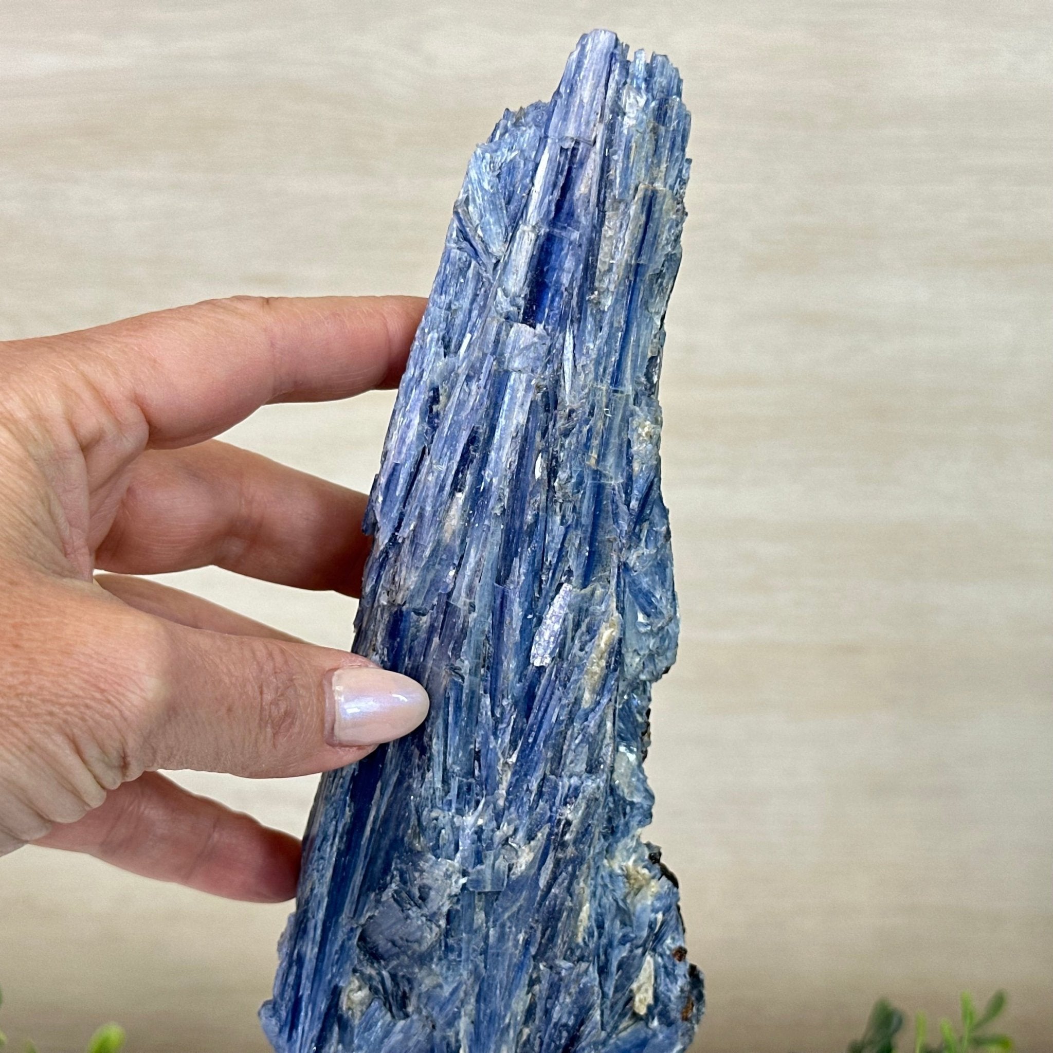 Kyanite Crystal on Metal Stand, 2.7 lbs & 11.9" Tall #6010 - 0018 - Brazil GemsBrazil GemsKyanite Crystal on Metal Stand, 2.7 lbs & 11.9" Tall #6010 - 0018Clusters on Fixed Bases6010 - 0018