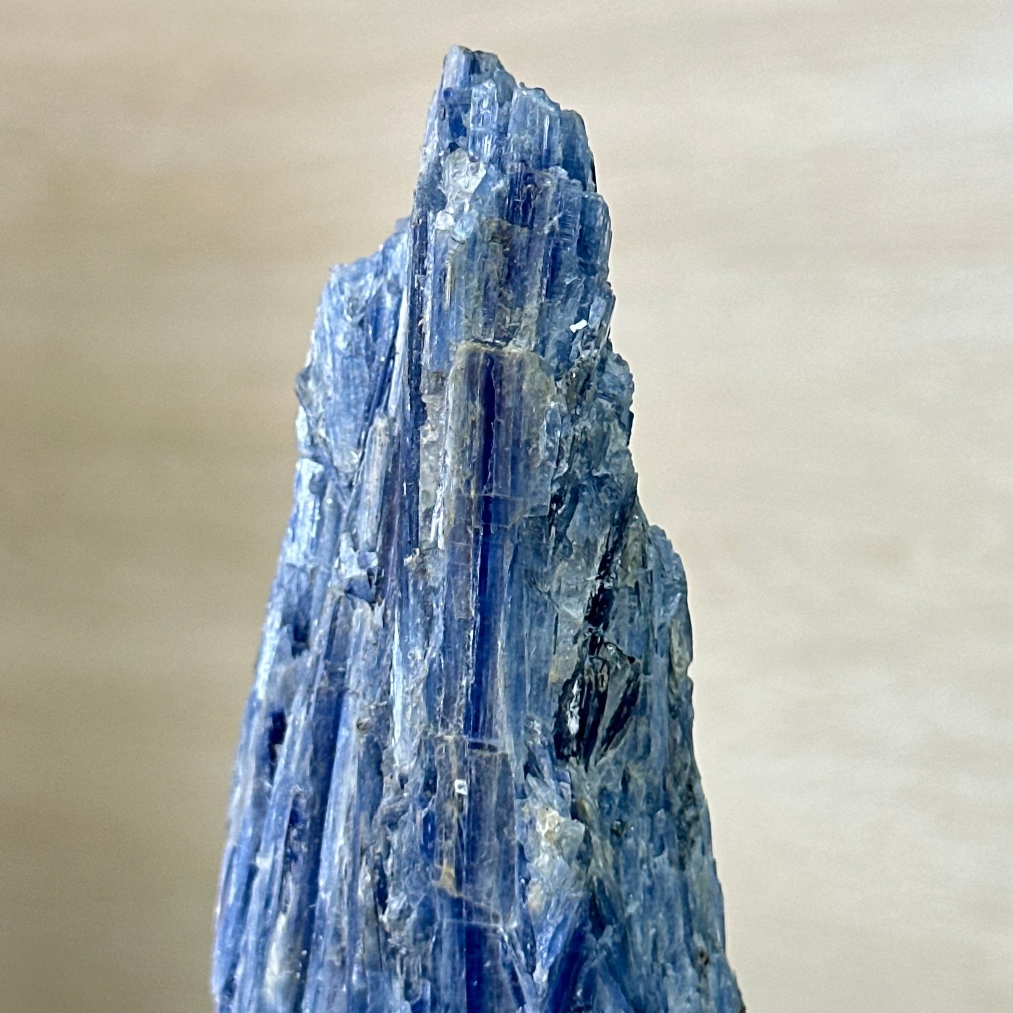 Kyanite Crystal on Metal Stand, 2.7 lbs & 11.9" Tall #6010 - 0018 - Brazil GemsBrazil GemsKyanite Crystal on Metal Stand, 2.7 lbs & 11.9" Tall #6010 - 0018Clusters on Fixed Bases6010 - 0018