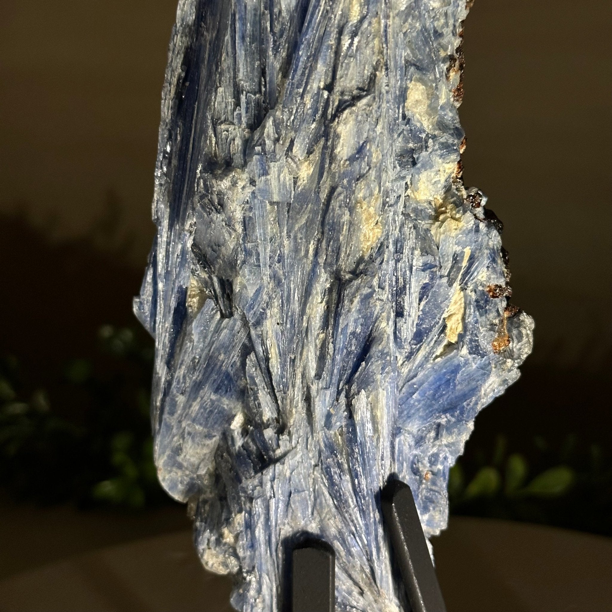 Kyanite Crystal on Metal Stand, 2.7 lbs & 11.9" Tall #6010 - 0018 - Brazil GemsBrazil GemsKyanite Crystal on Metal Stand, 2.7 lbs & 11.9" Tall #6010 - 0018Clusters on Fixed Bases6010 - 0018