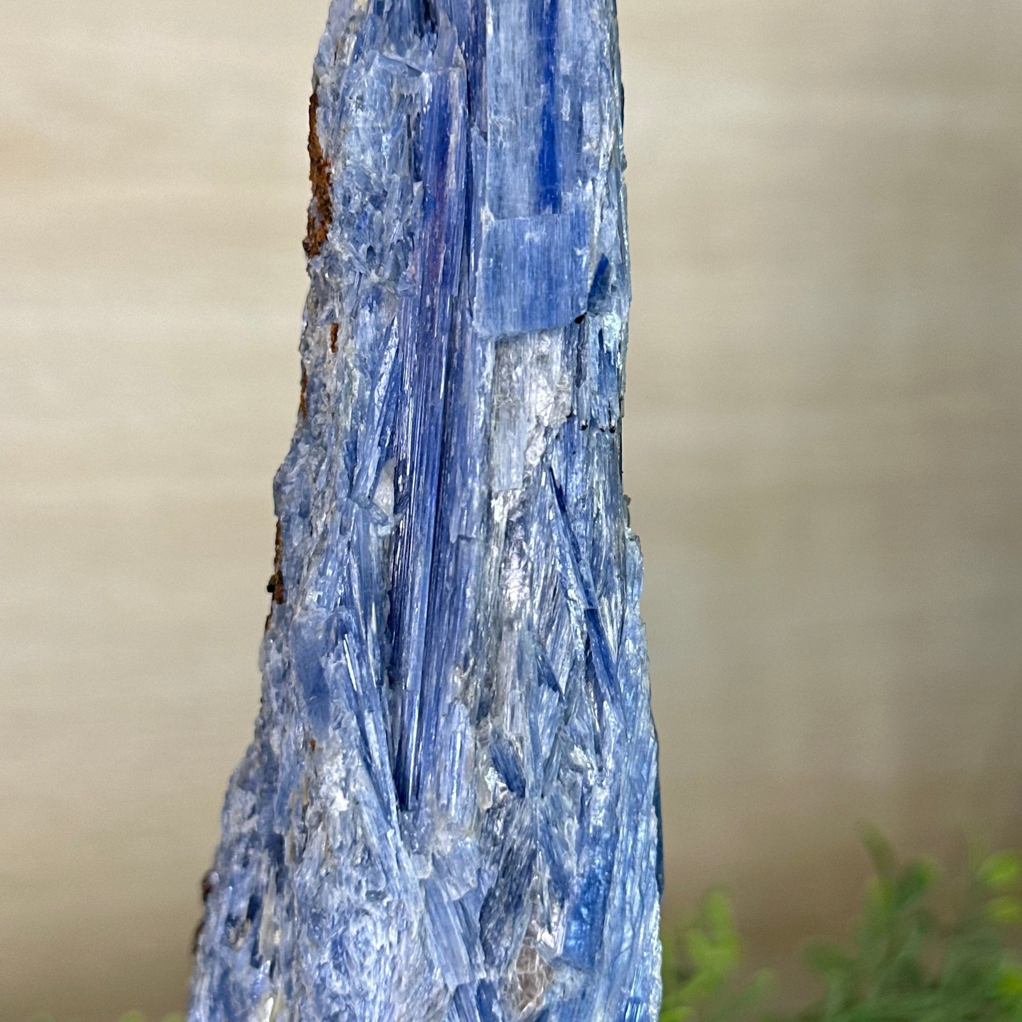 Kyanite Crystal on Metal Stand, 2.7 lbs & 11.9" Tall #6010 - 0018 - Brazil GemsBrazil GemsKyanite Crystal on Metal Stand, 2.7 lbs & 11.9" Tall #6010 - 0018Clusters on Fixed Bases6010 - 0018