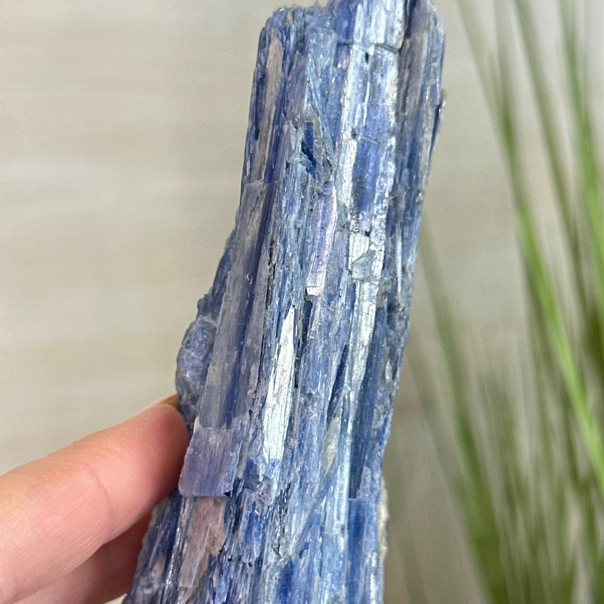 Kyanite Crystal on Metal Stand, 2.7 lbs & 11.9" Tall #6010 - 0018 - Brazil GemsBrazil GemsKyanite Crystal on Metal Stand, 2.7 lbs & 11.9" Tall #6010 - 0018Clusters on Fixed Bases6010 - 0018