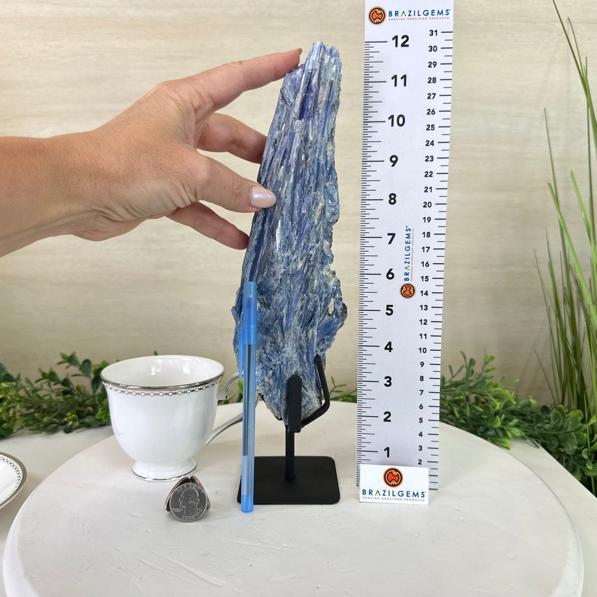 Kyanite Crystal on Metal Stand, 2.7 lbs & 11.9" Tall #6010 - 0018 - Brazil GemsBrazil GemsKyanite Crystal on Metal Stand, 2.7 lbs & 11.9" Tall #6010 - 0018Clusters on Fixed Bases6010 - 0018